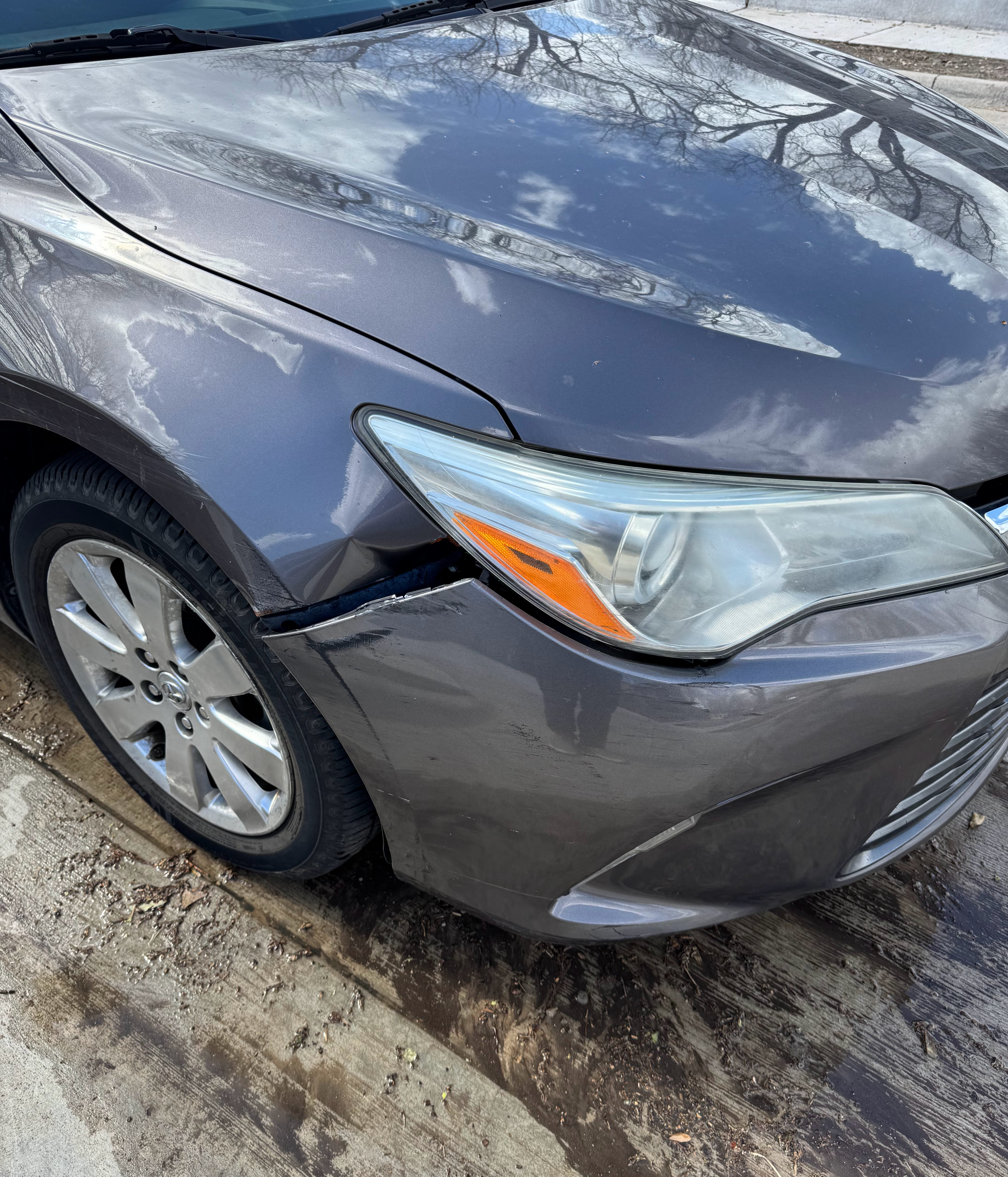 2015 Toyota Camry LE