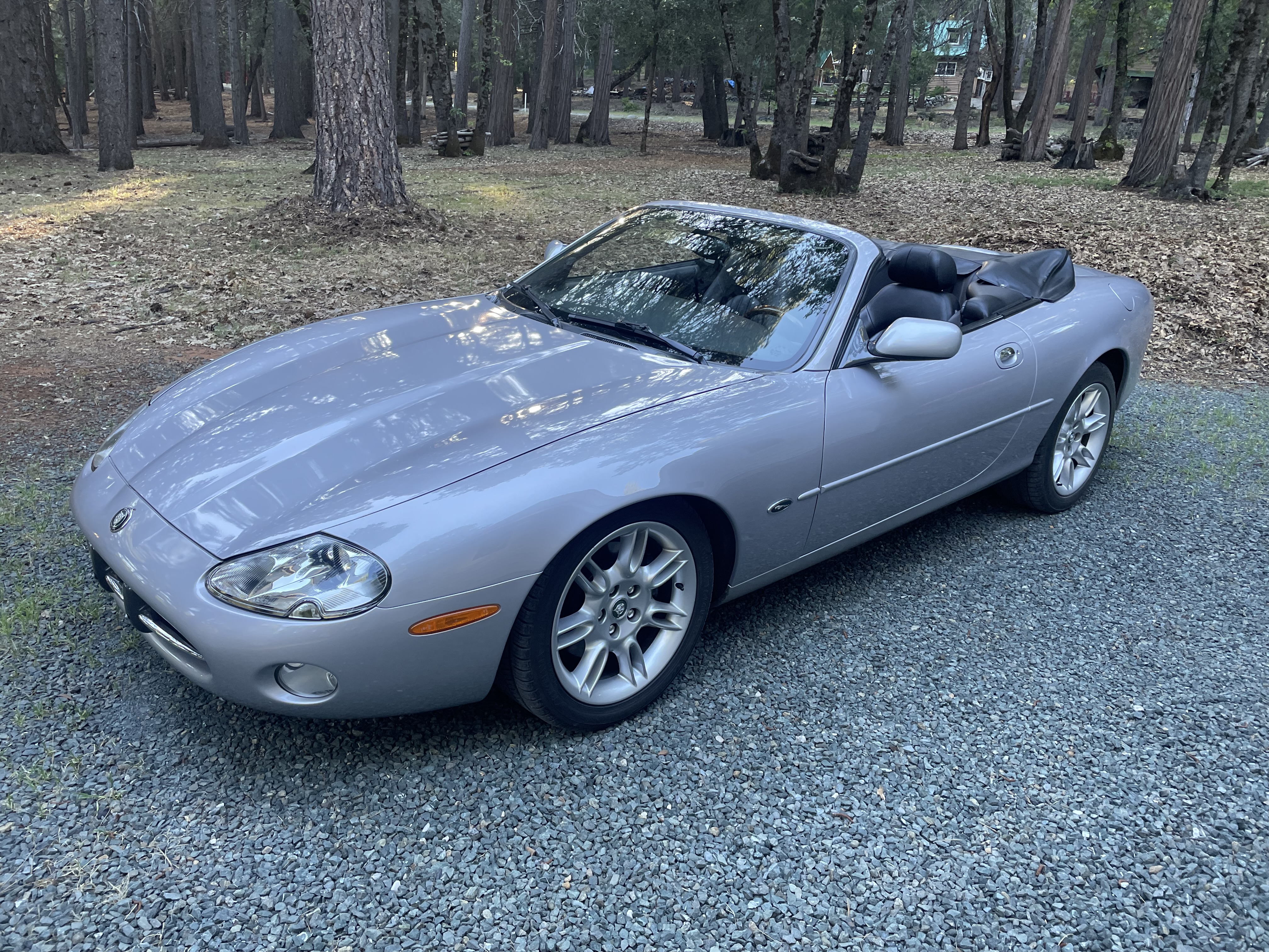 Used 2002 Jaguar XK8 for Sale Near Me - Autotrader