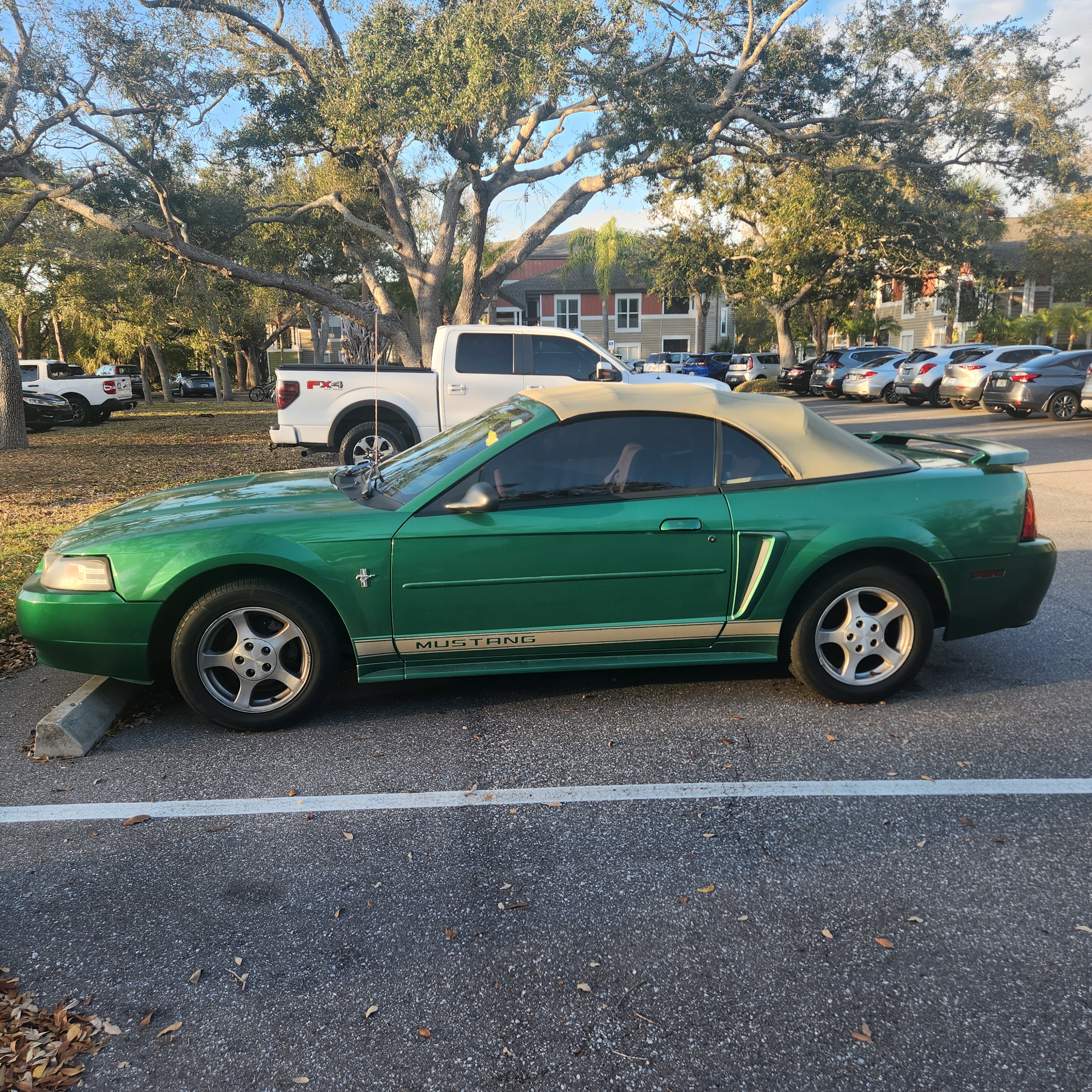 Used 2002 Ford Mustang Deluxe Convertible 2D