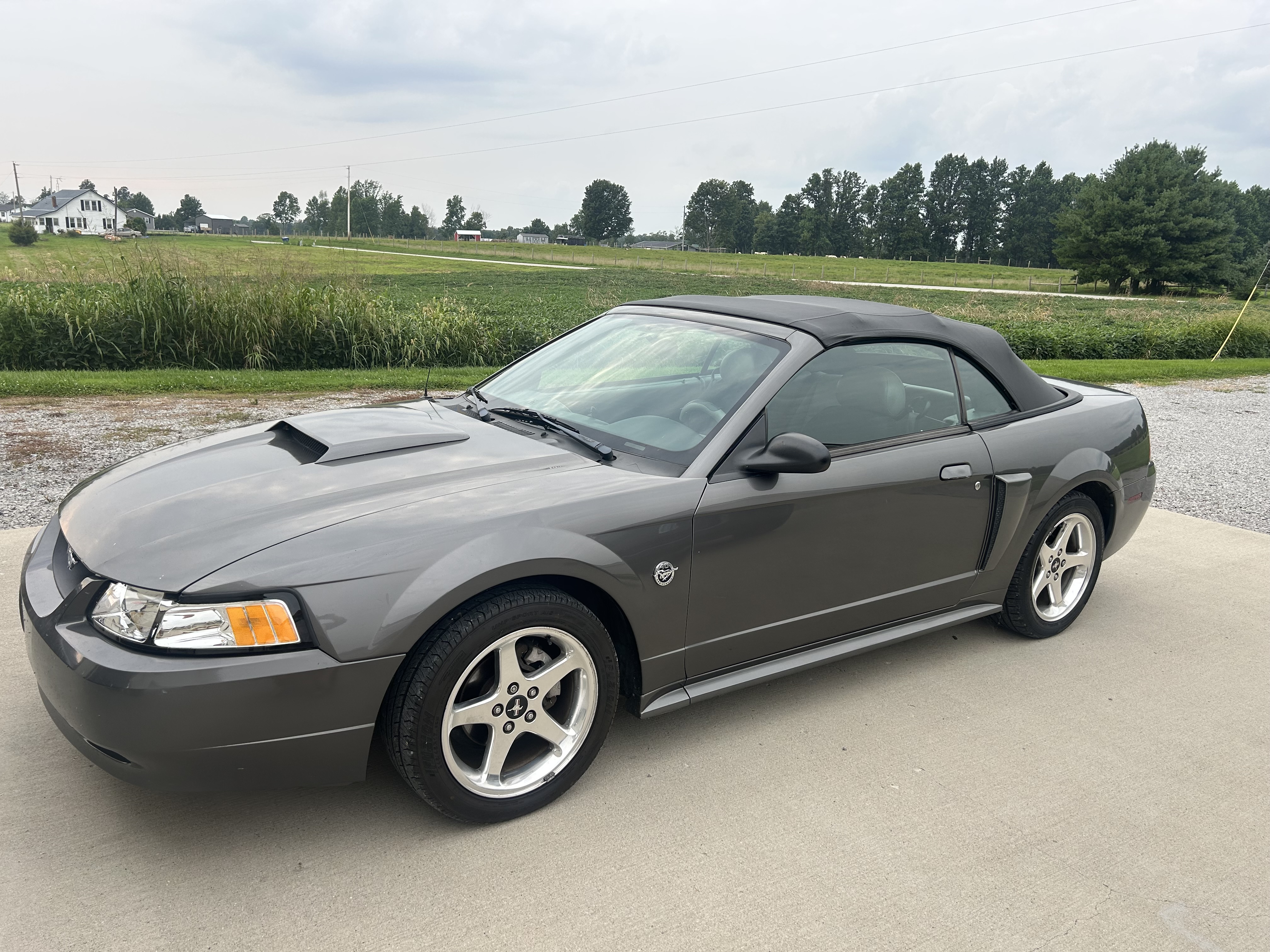 Used 2004 Ford Mustang GT Premium
