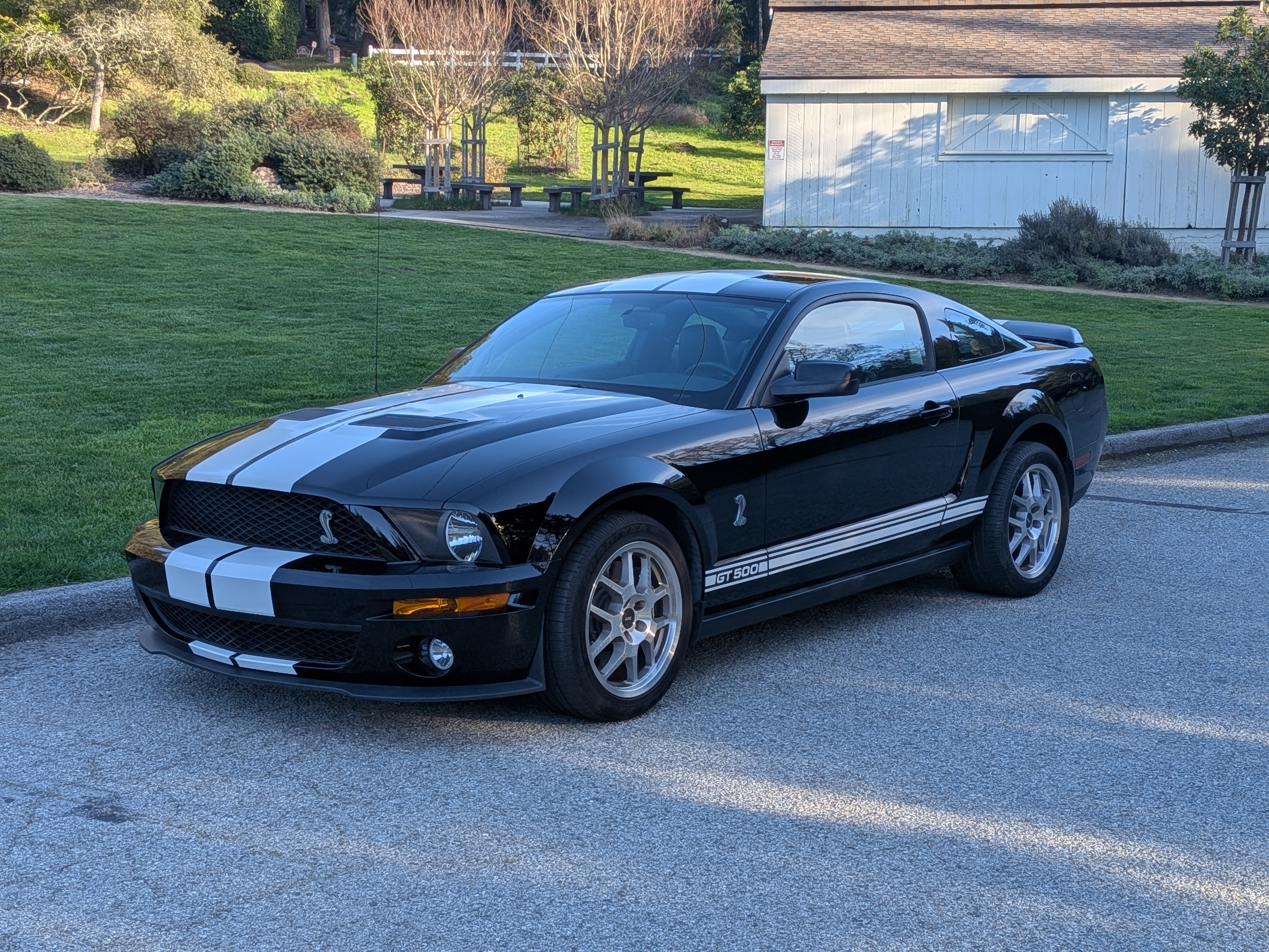 Used 2007 Ford Mustang Shelby GT500