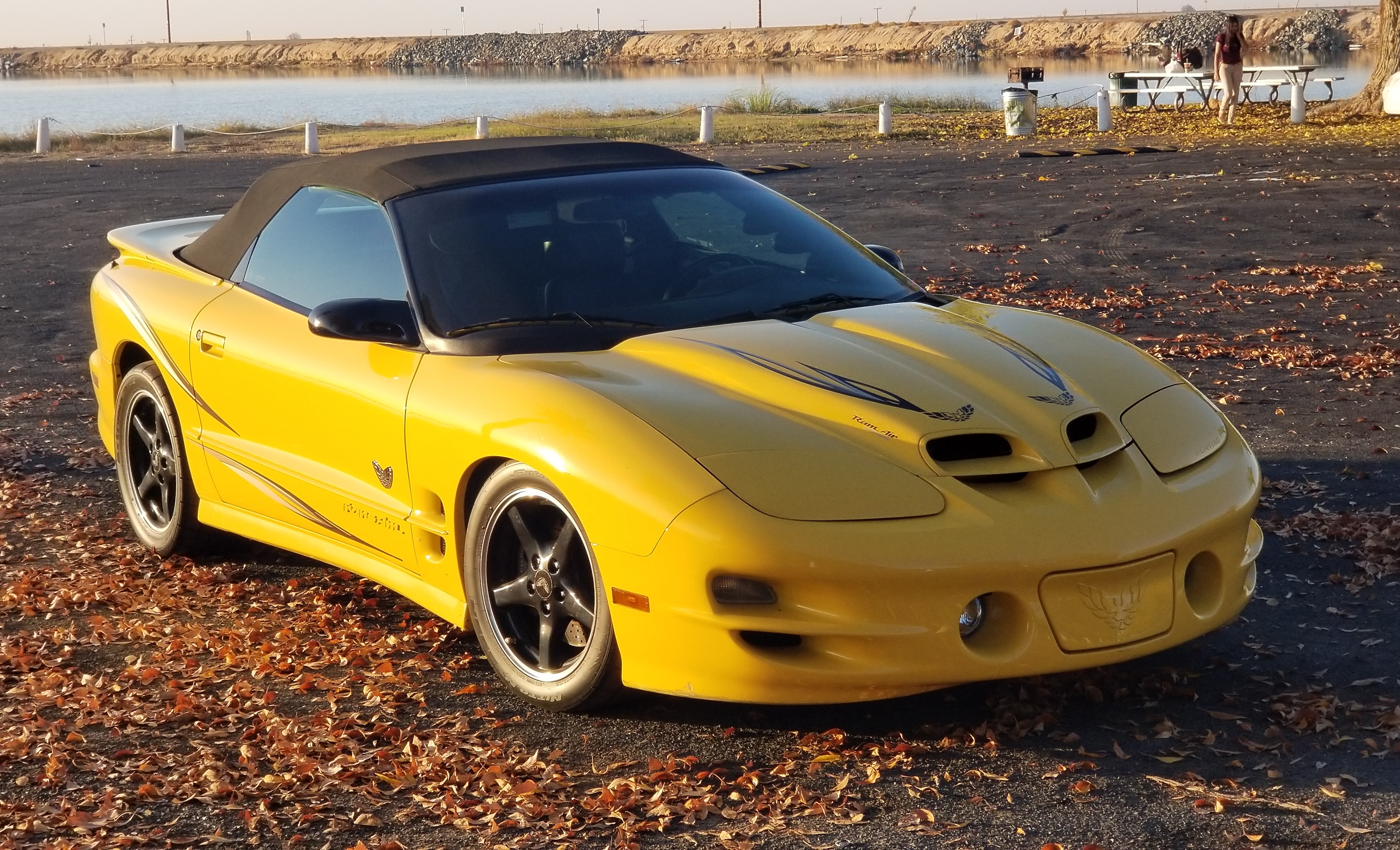 Used 2002 Pontiac Firebird Trans Am