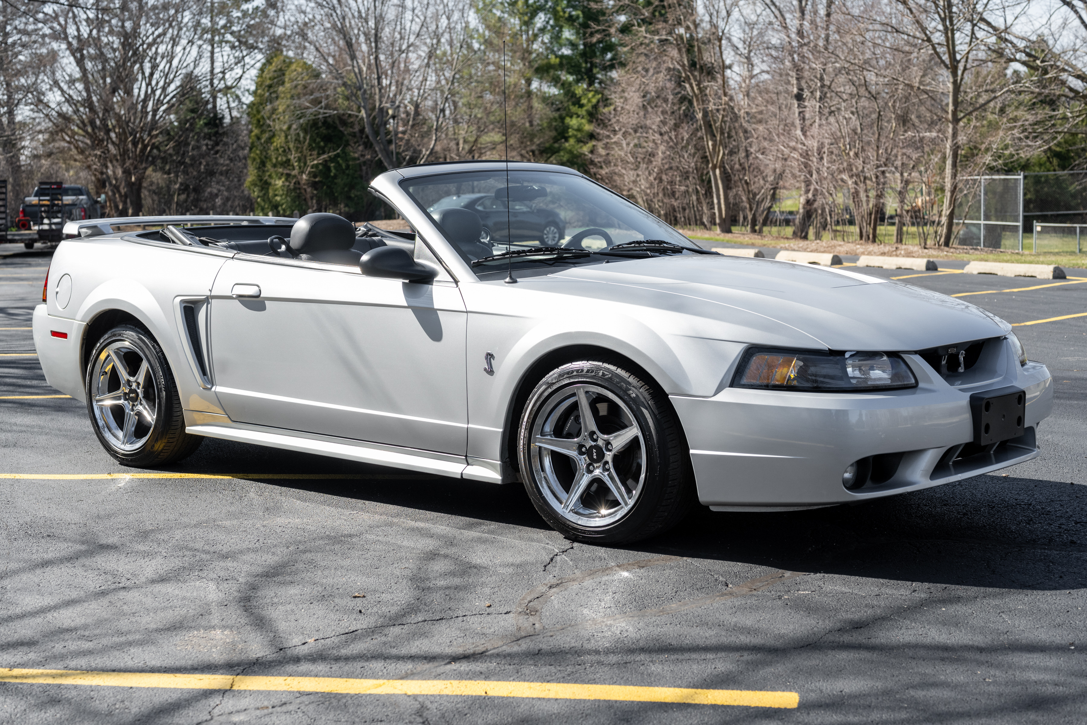 Used 2001 Ford Mustang Cobra
