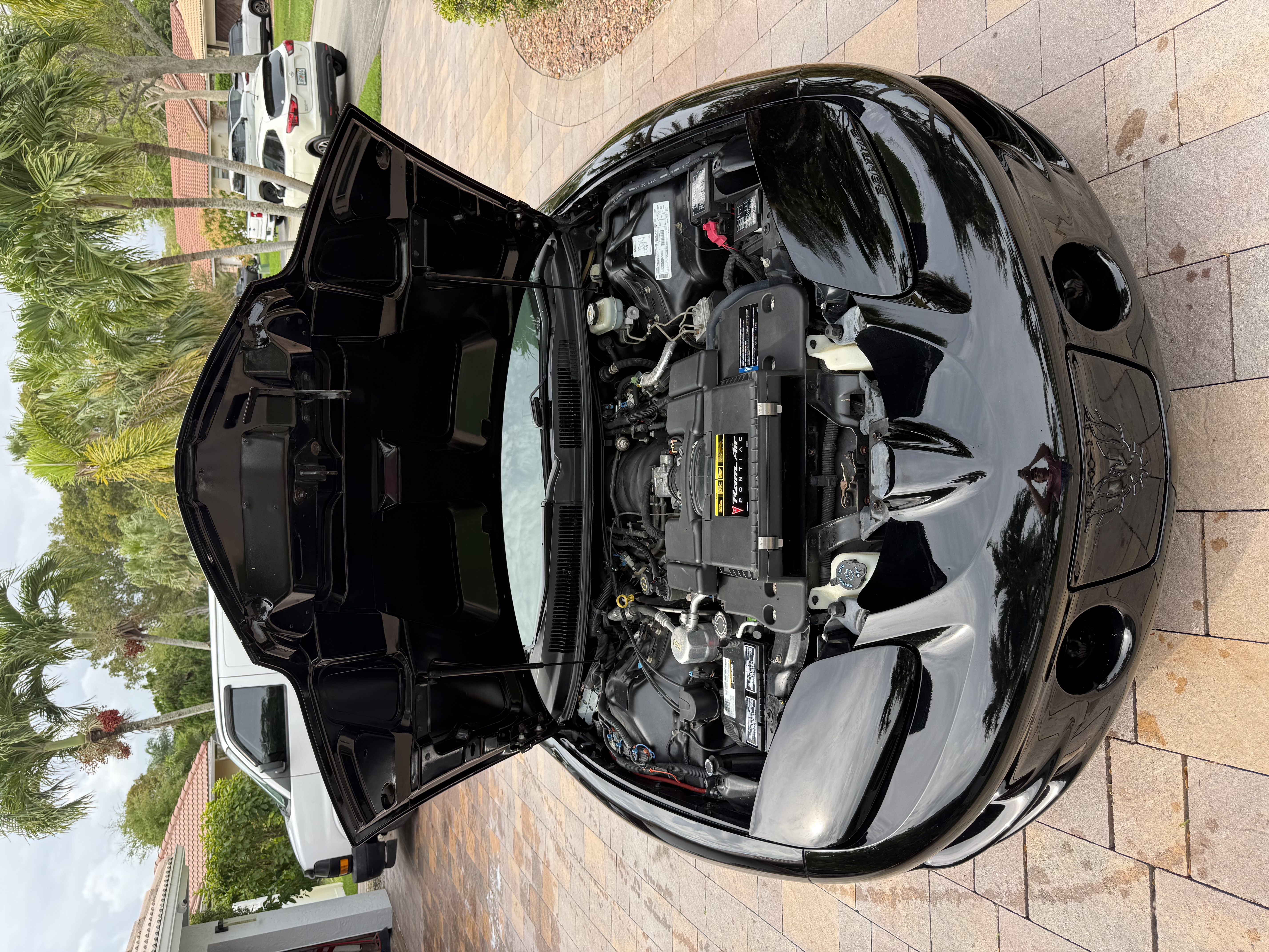 Used 2000 Pontiac Firebird Formula