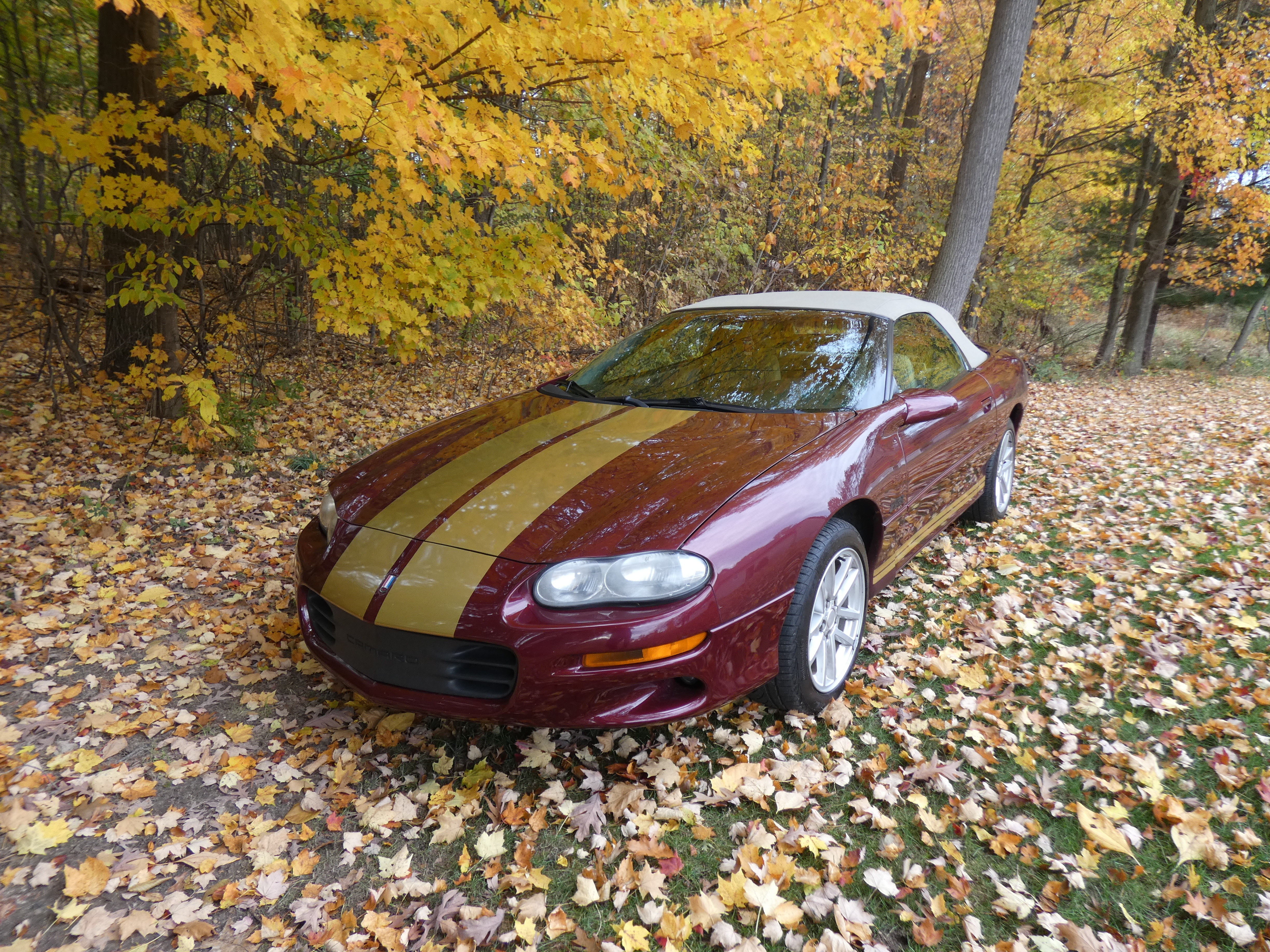 Used 2002 Chevrolet Camaro Z28