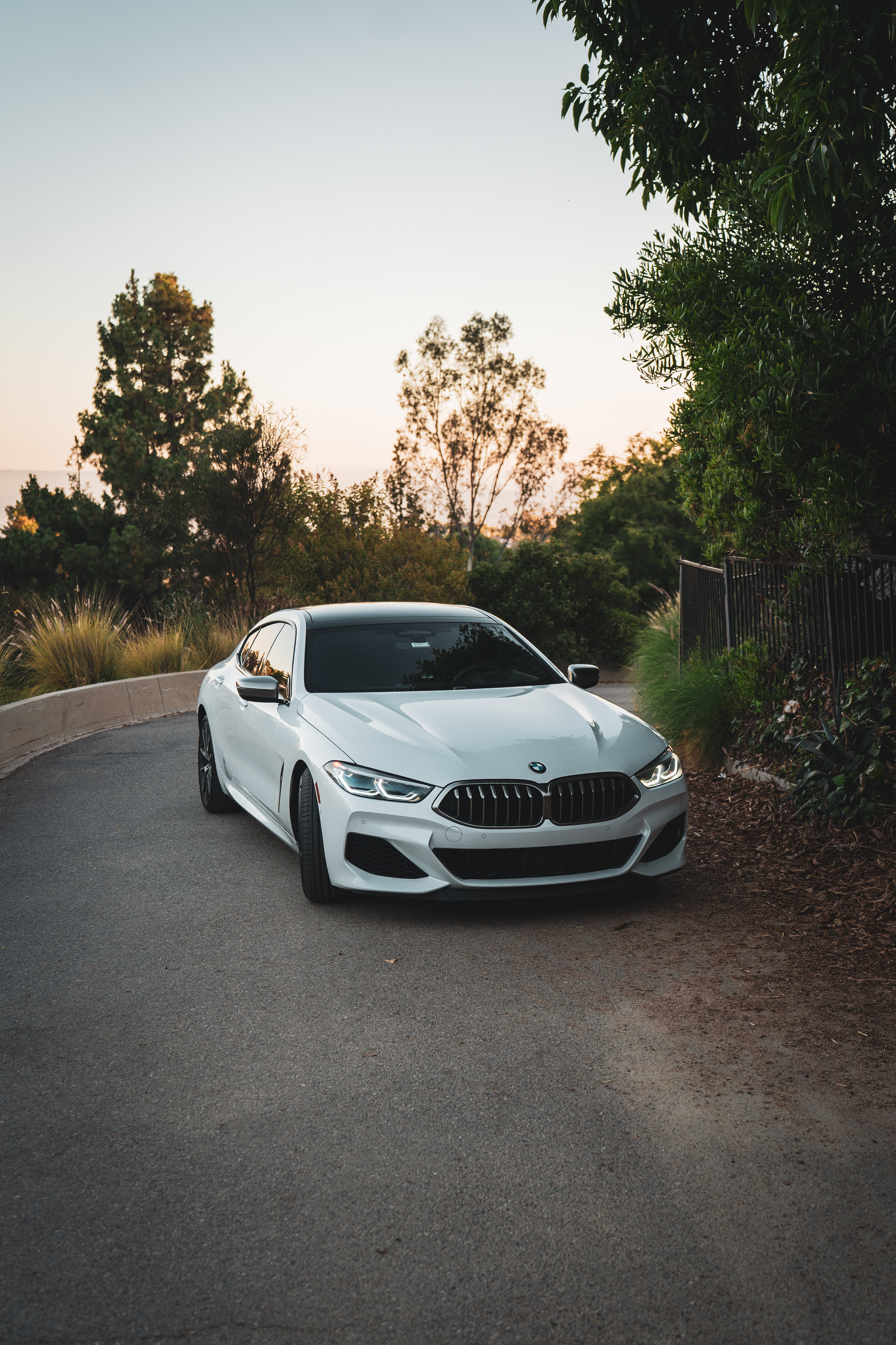 BMW M850i xDrive coupe review - Drive