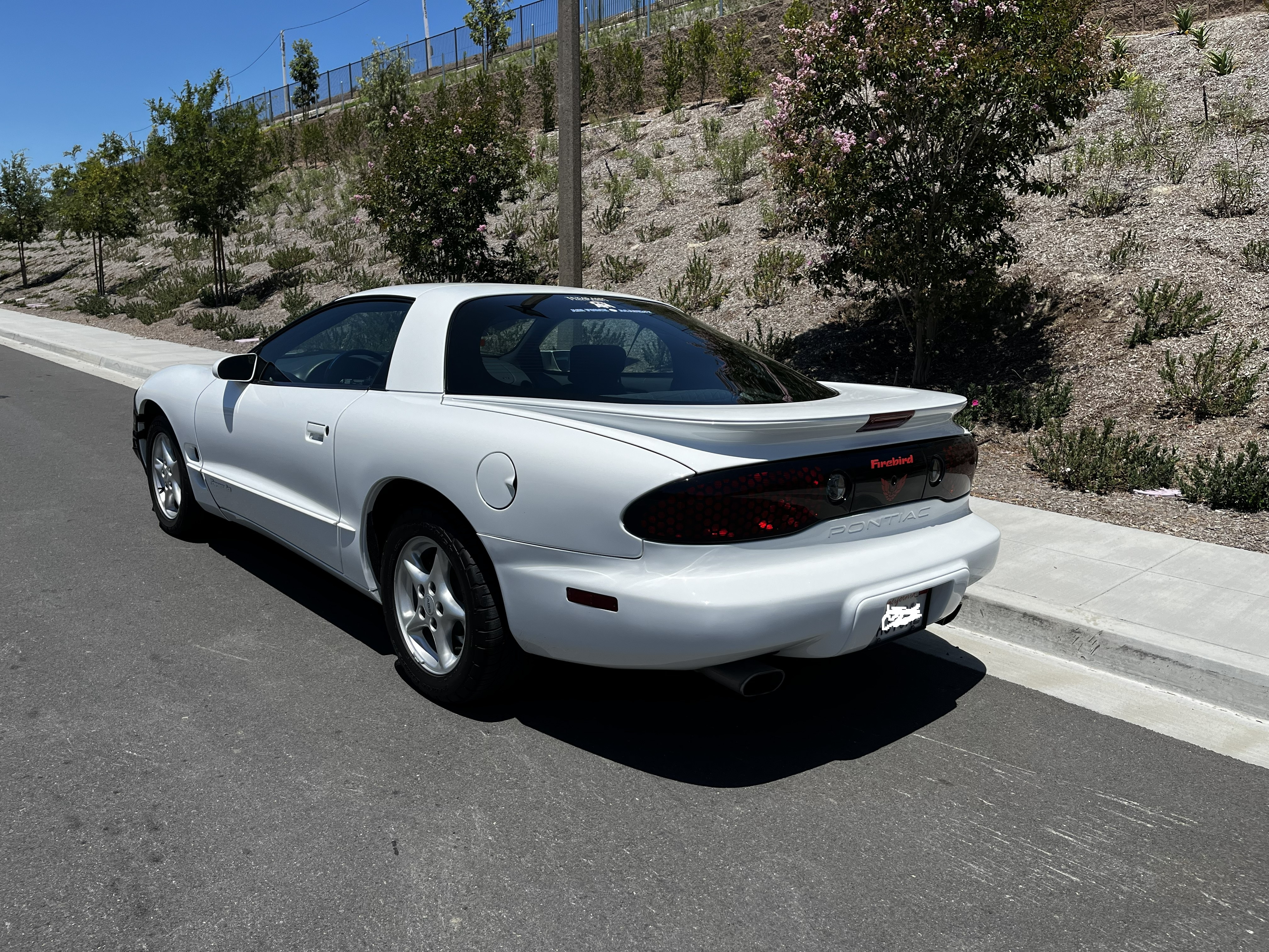 Photo 4
