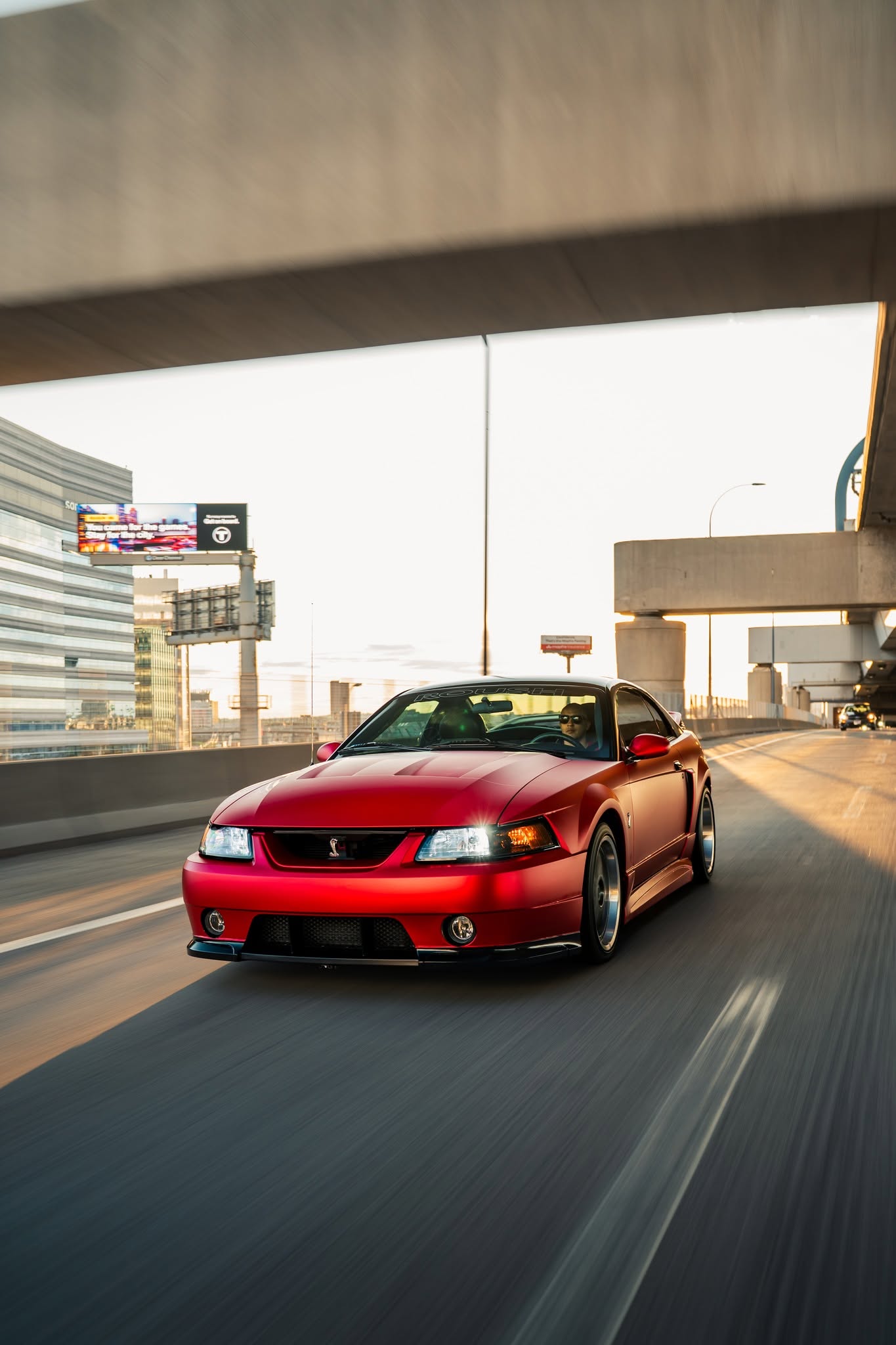 Used 2003 Ford Mustang Cobra
