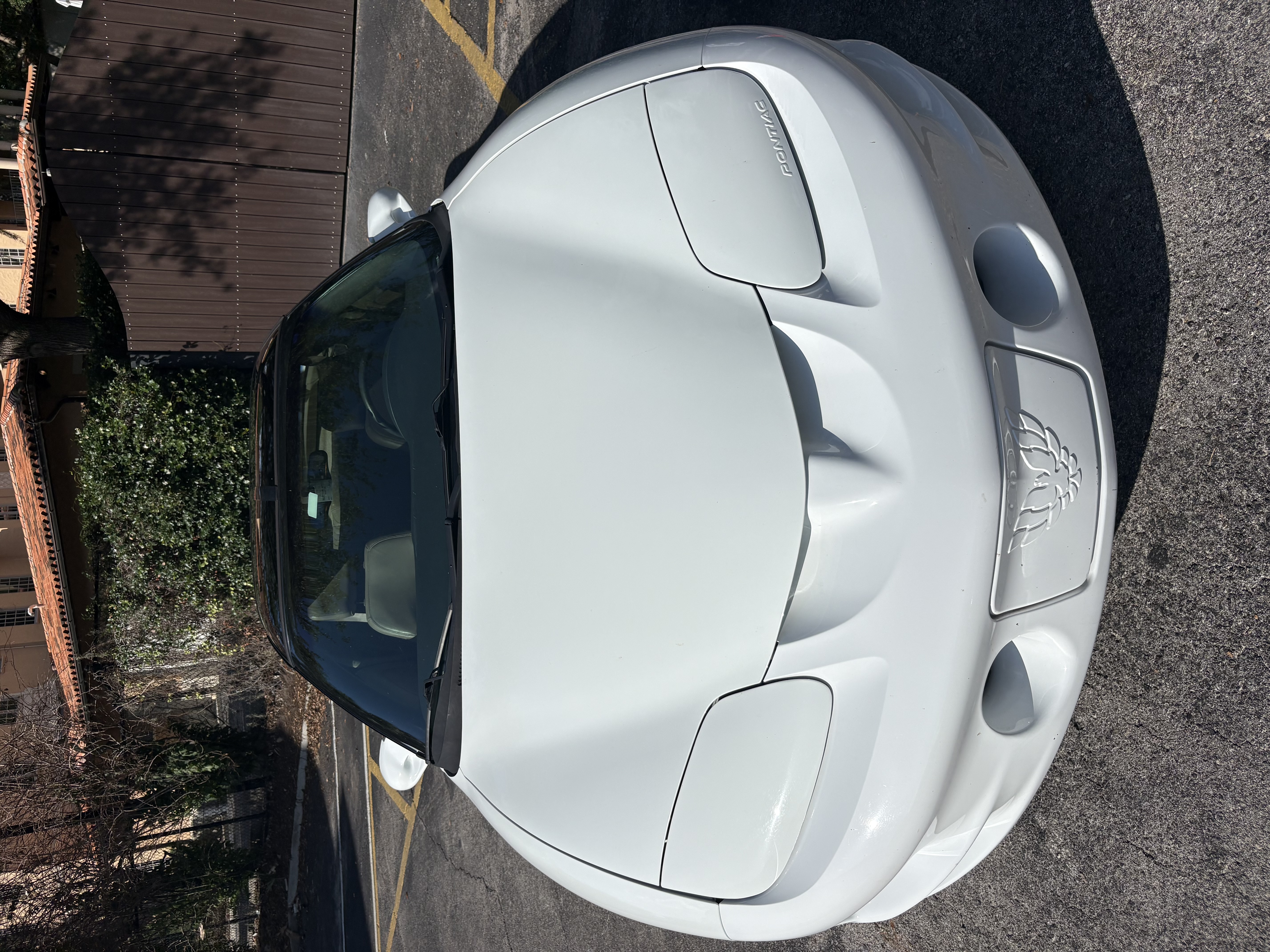 Used 1999 Pontiac Firebird Formula w/ Security Pkg
