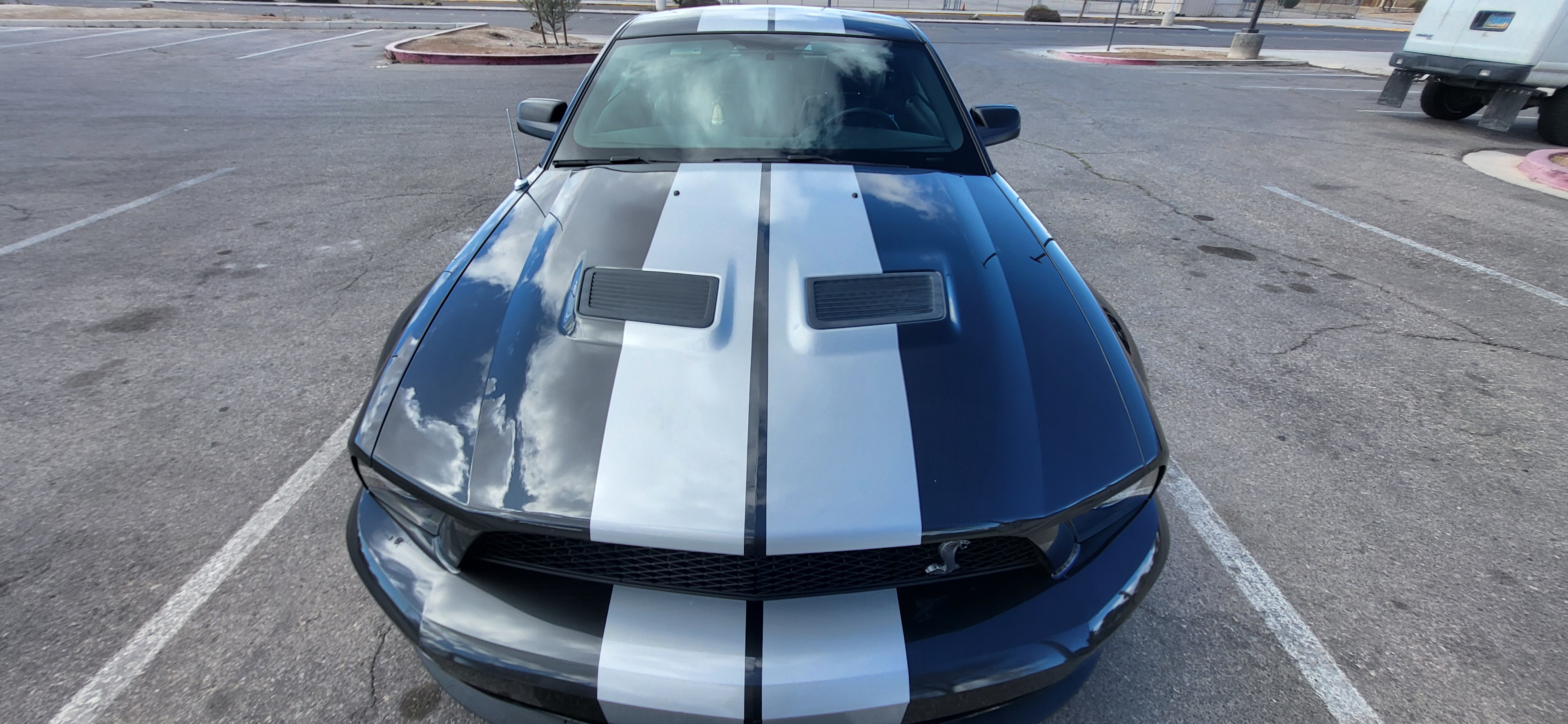 Used 2008 Ford Mustang Shelby GT500