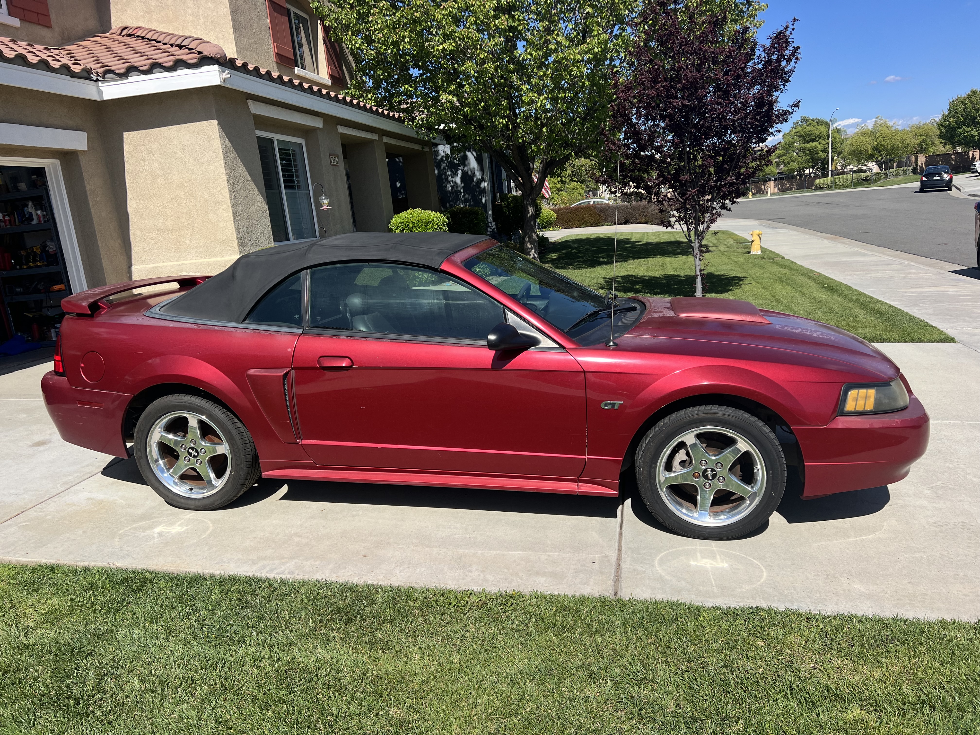 Used 2003 Ford Mustang GT Premium