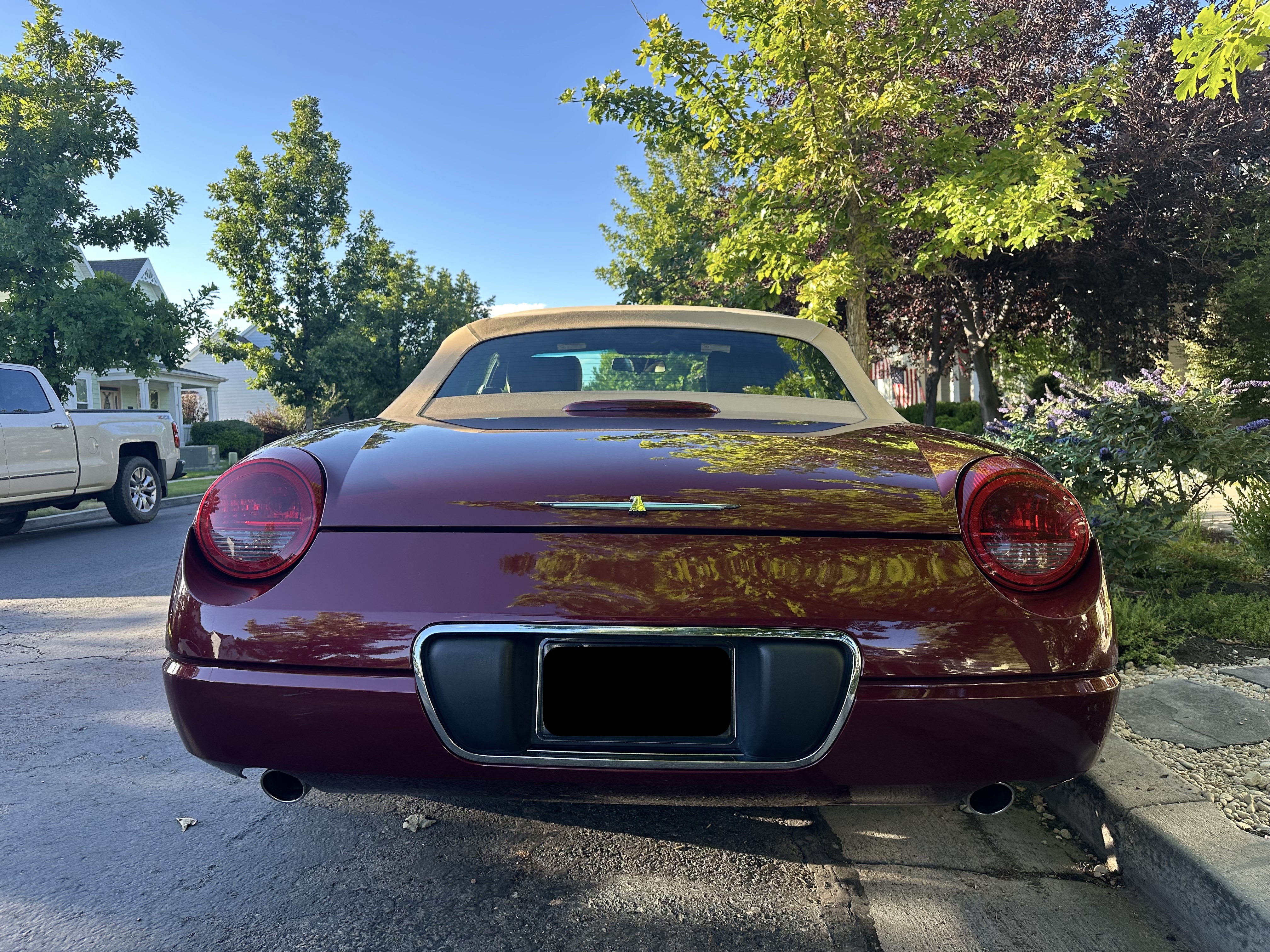 Ford Thunderbird 2004 photo 3
