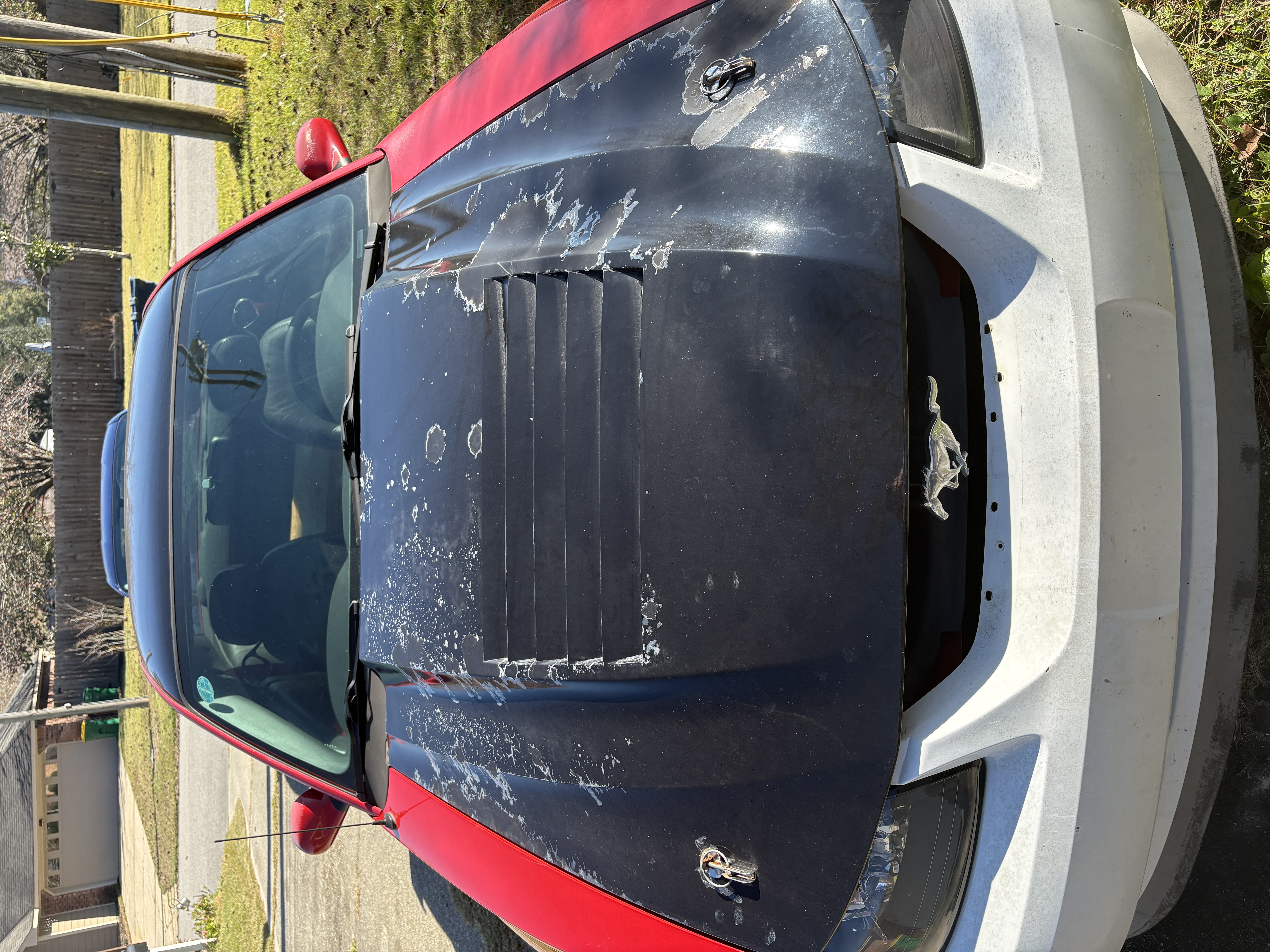 Used 2003 Ford Mustang GT Premium