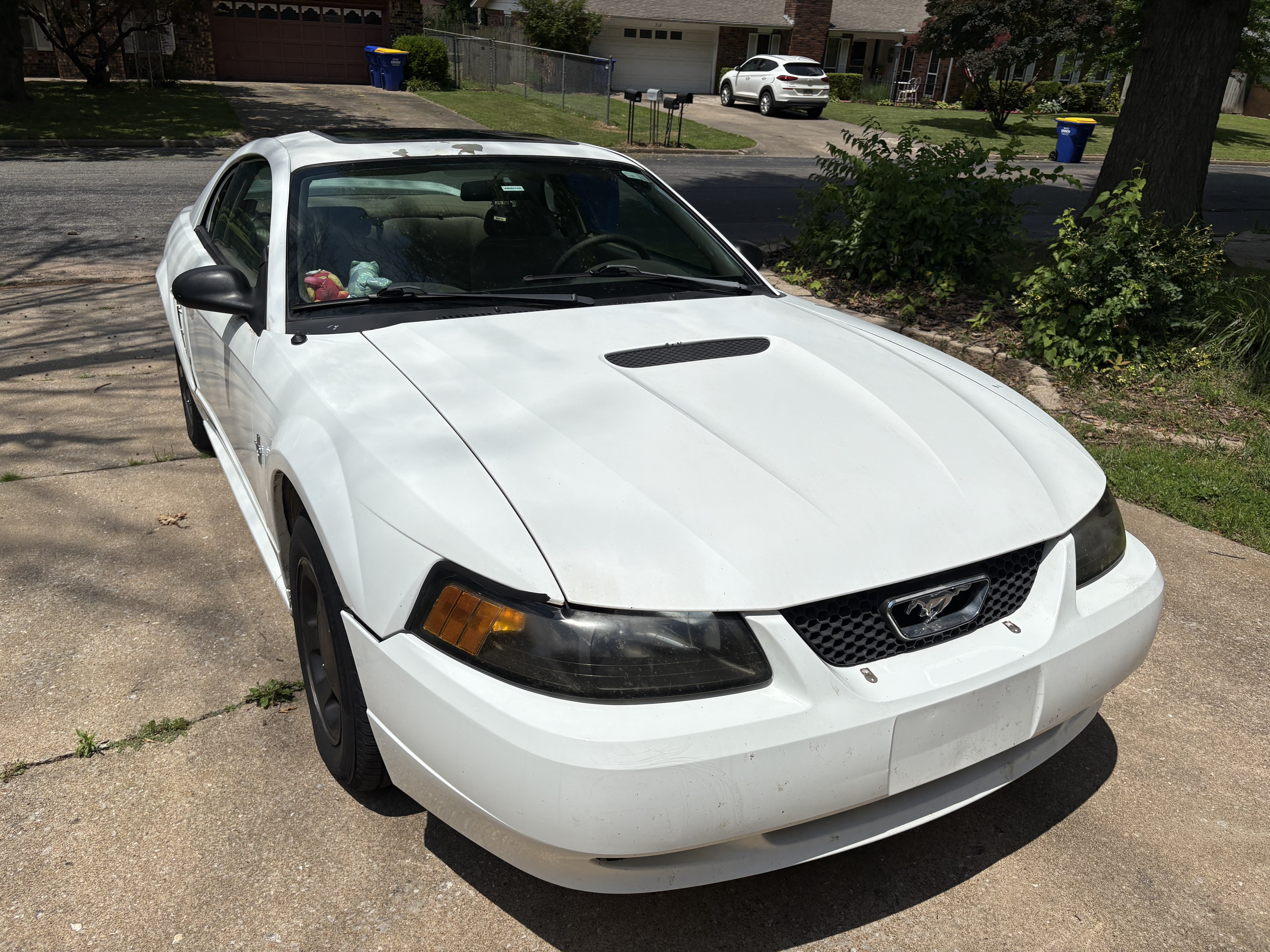 Used 2000 Ford Mustang Coupe