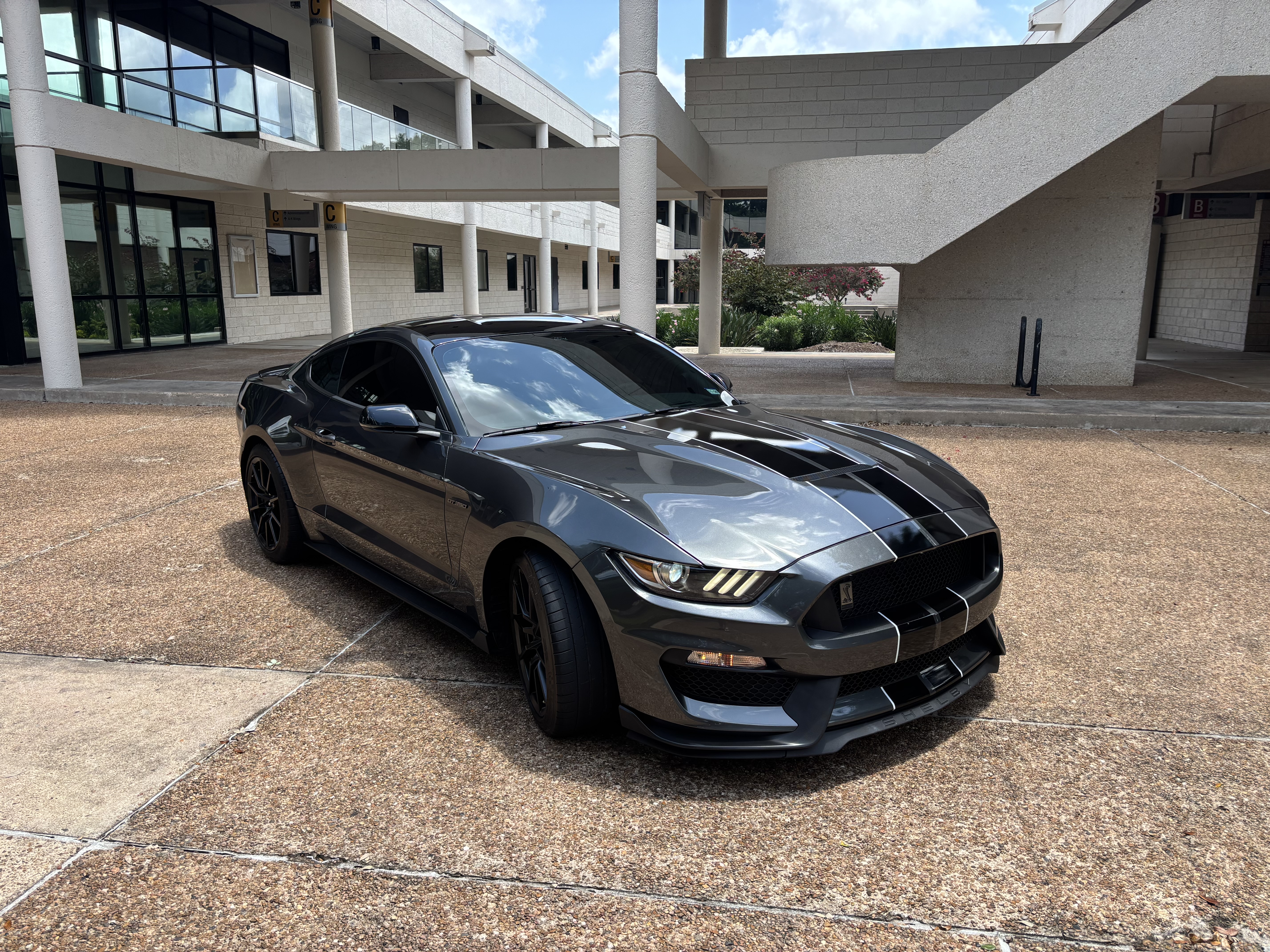 Used 2016 Ford Mustang Shelby GT350 w/ Technology Package