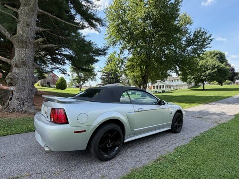 Used 2001 Ford Mustang GT Premium