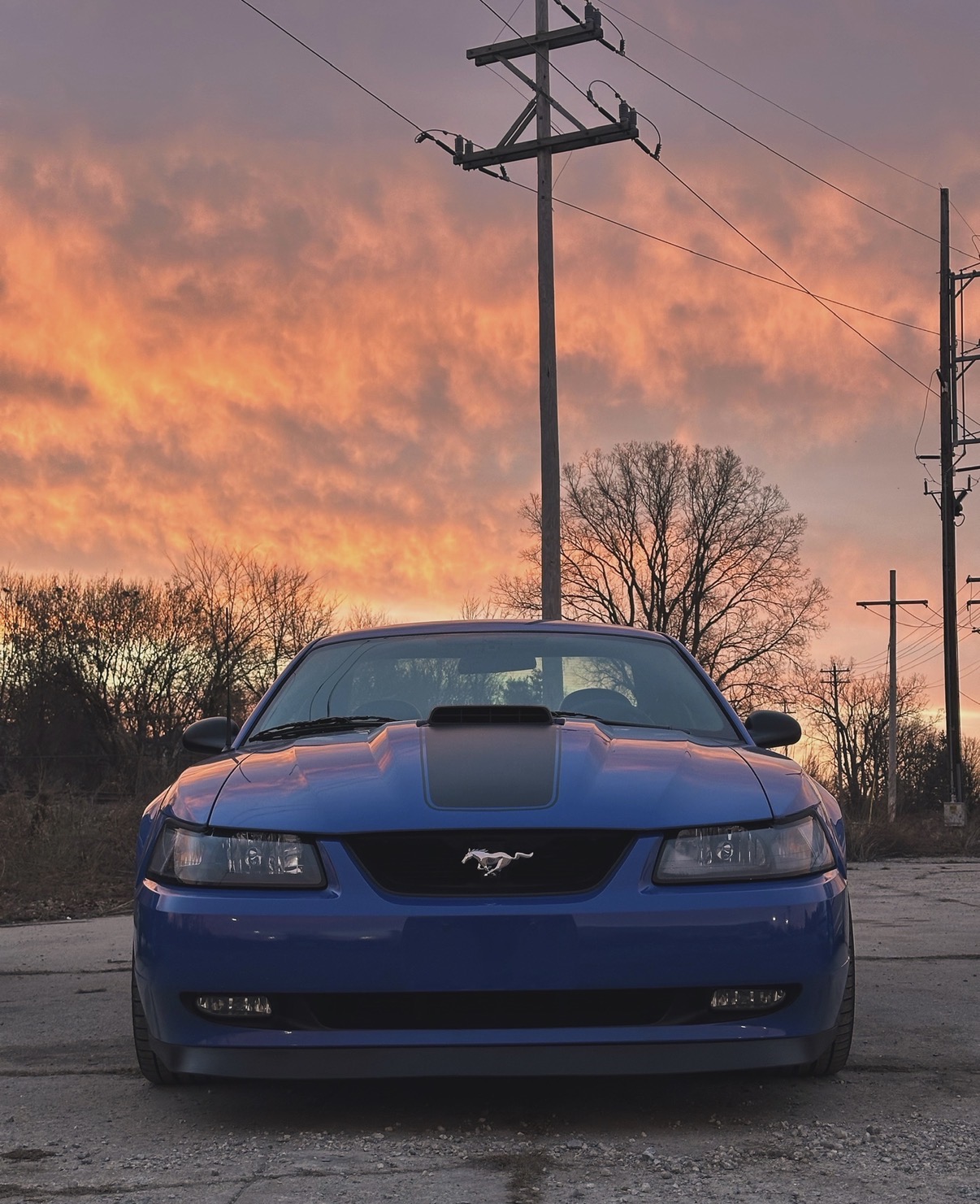 Used 2003 Ford Mustang Mach 1