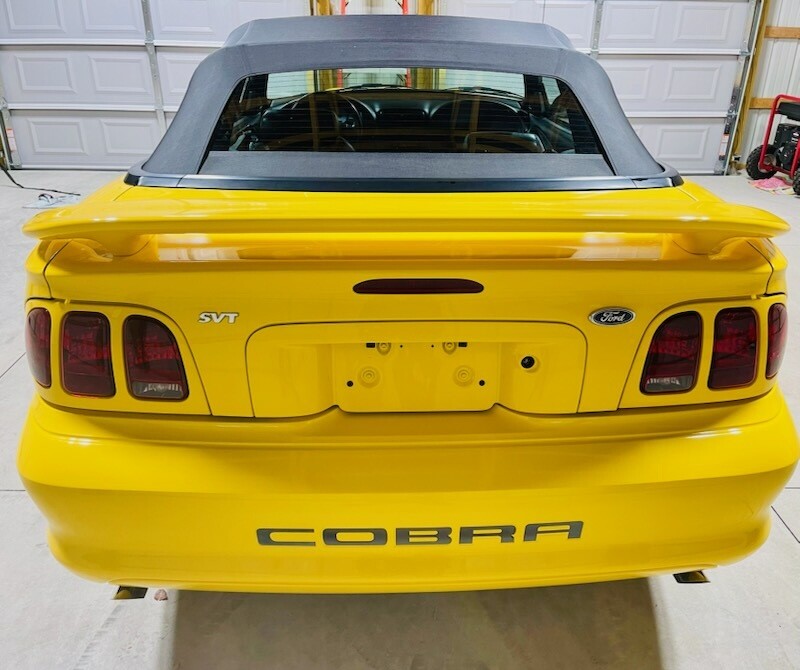 Used 1998 Ford Mustang Cobra