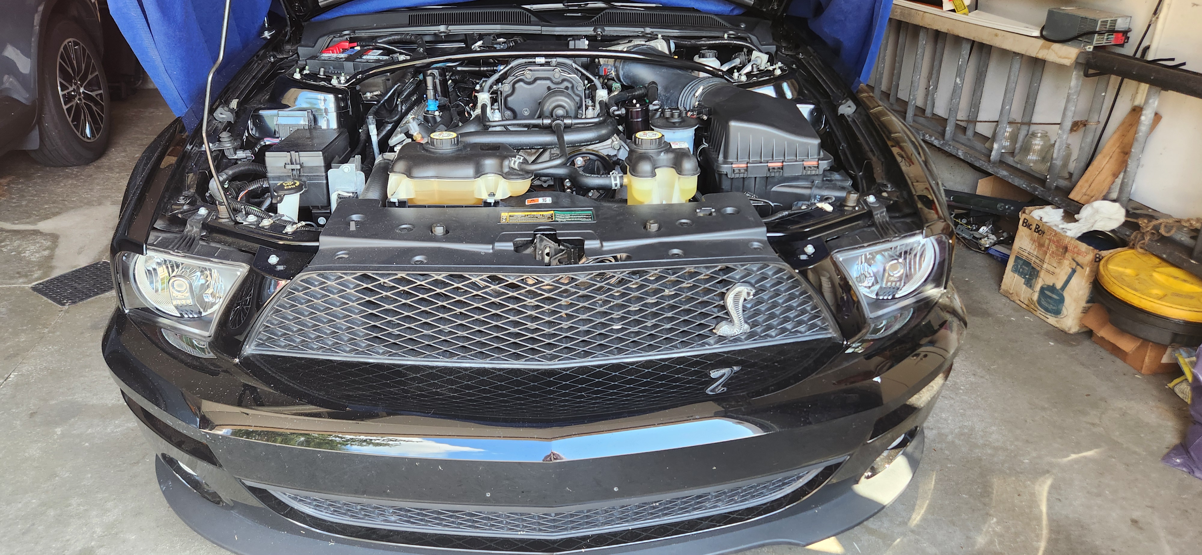 Used 2009 Ford Mustang Shelby GT500