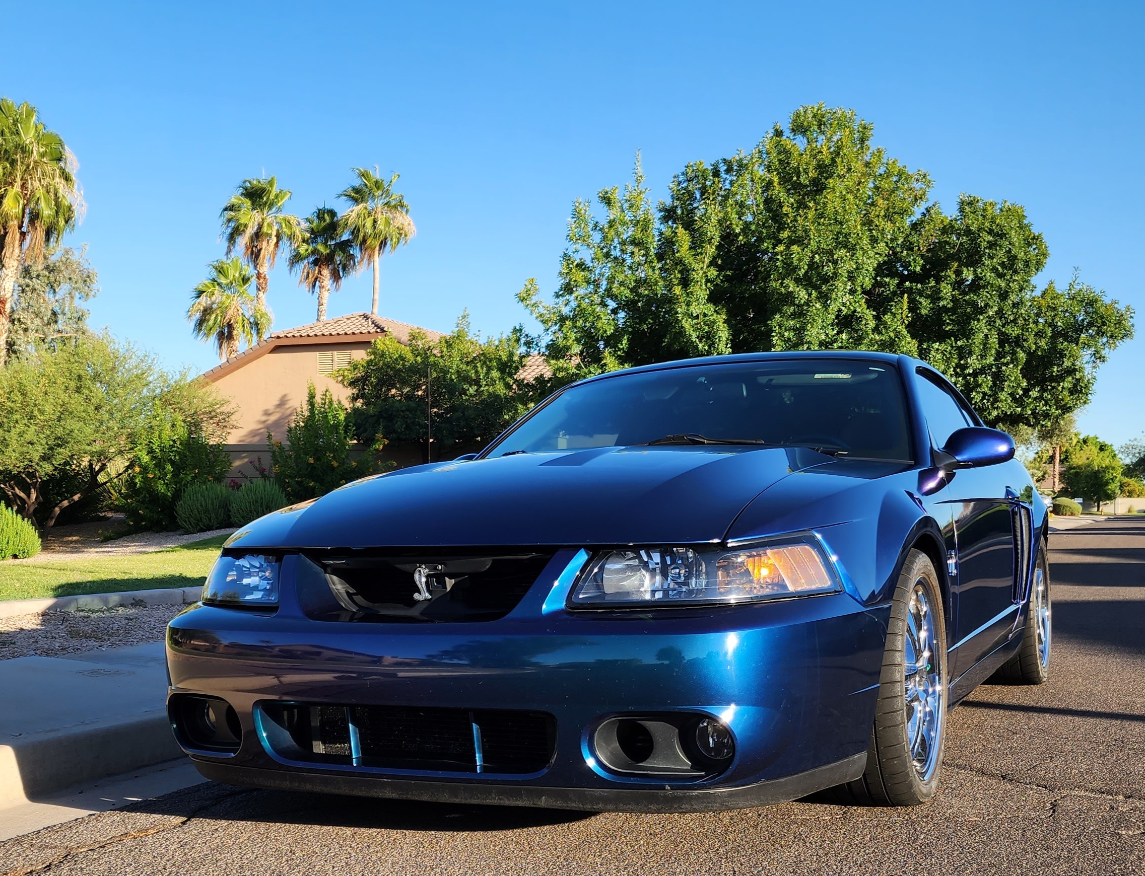 2004 Ford Mustang Cobra