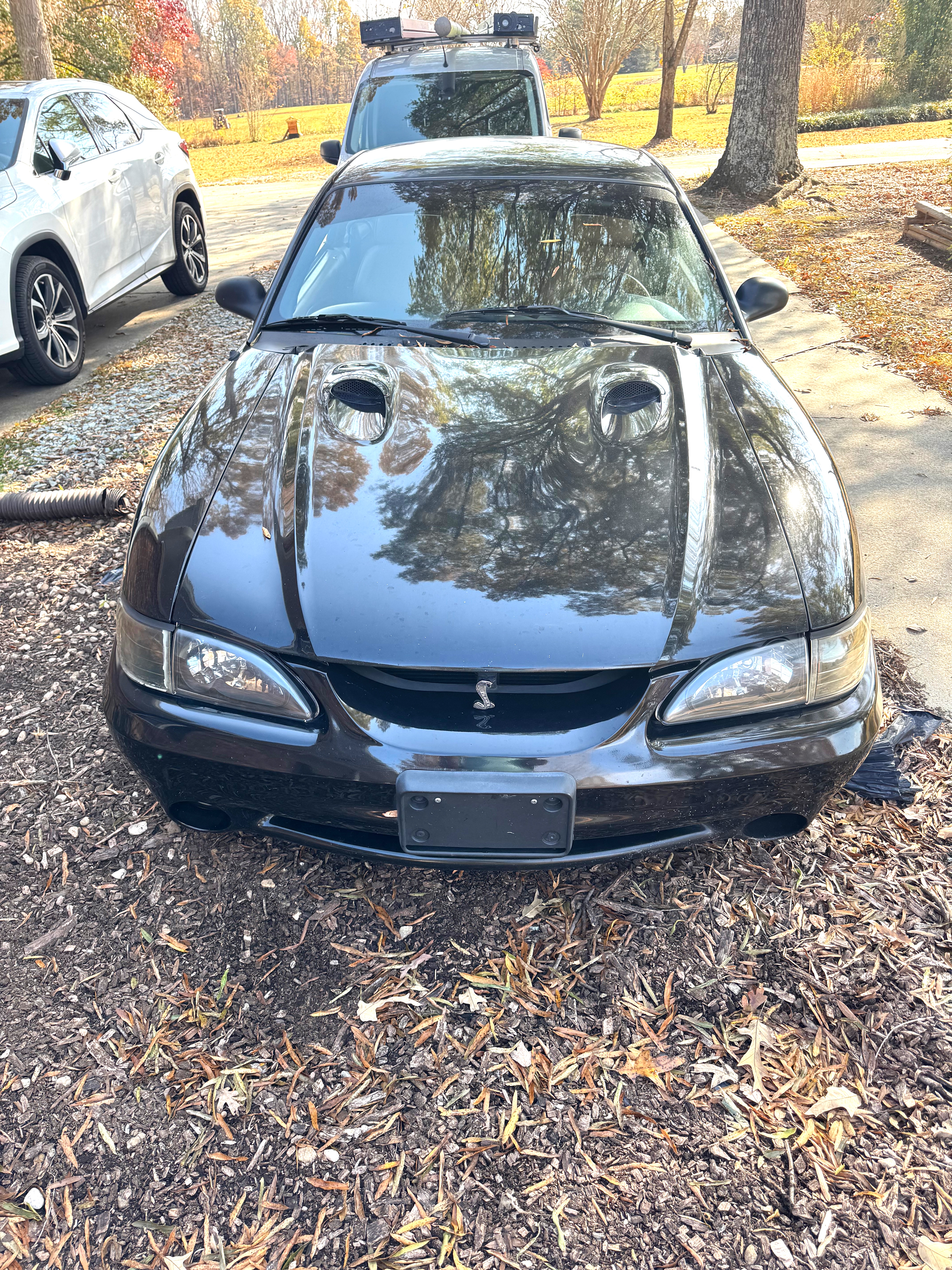 Used 1997 Ford Mustang Cobra