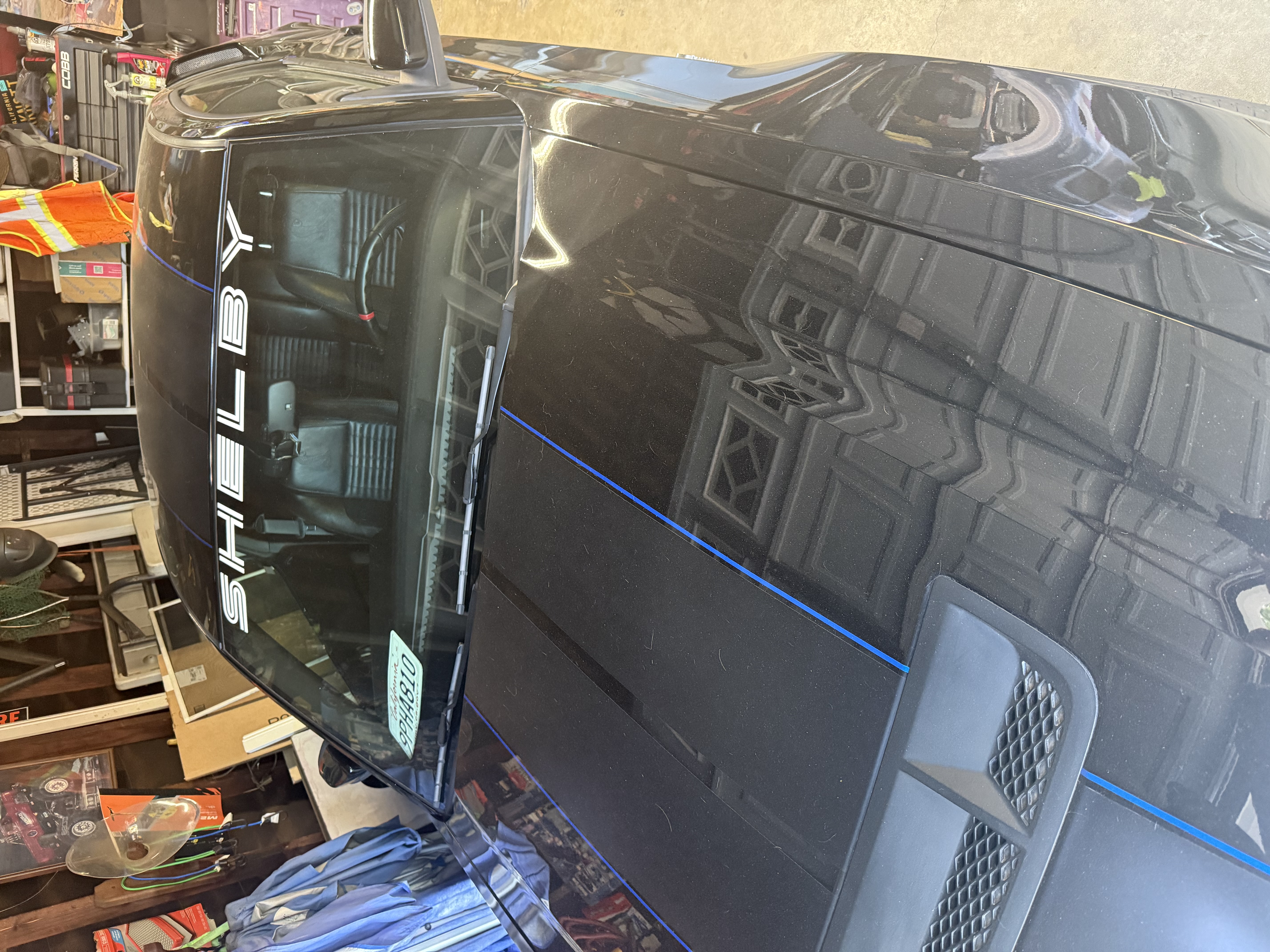 2010 Ford Mustang Shelby GT500