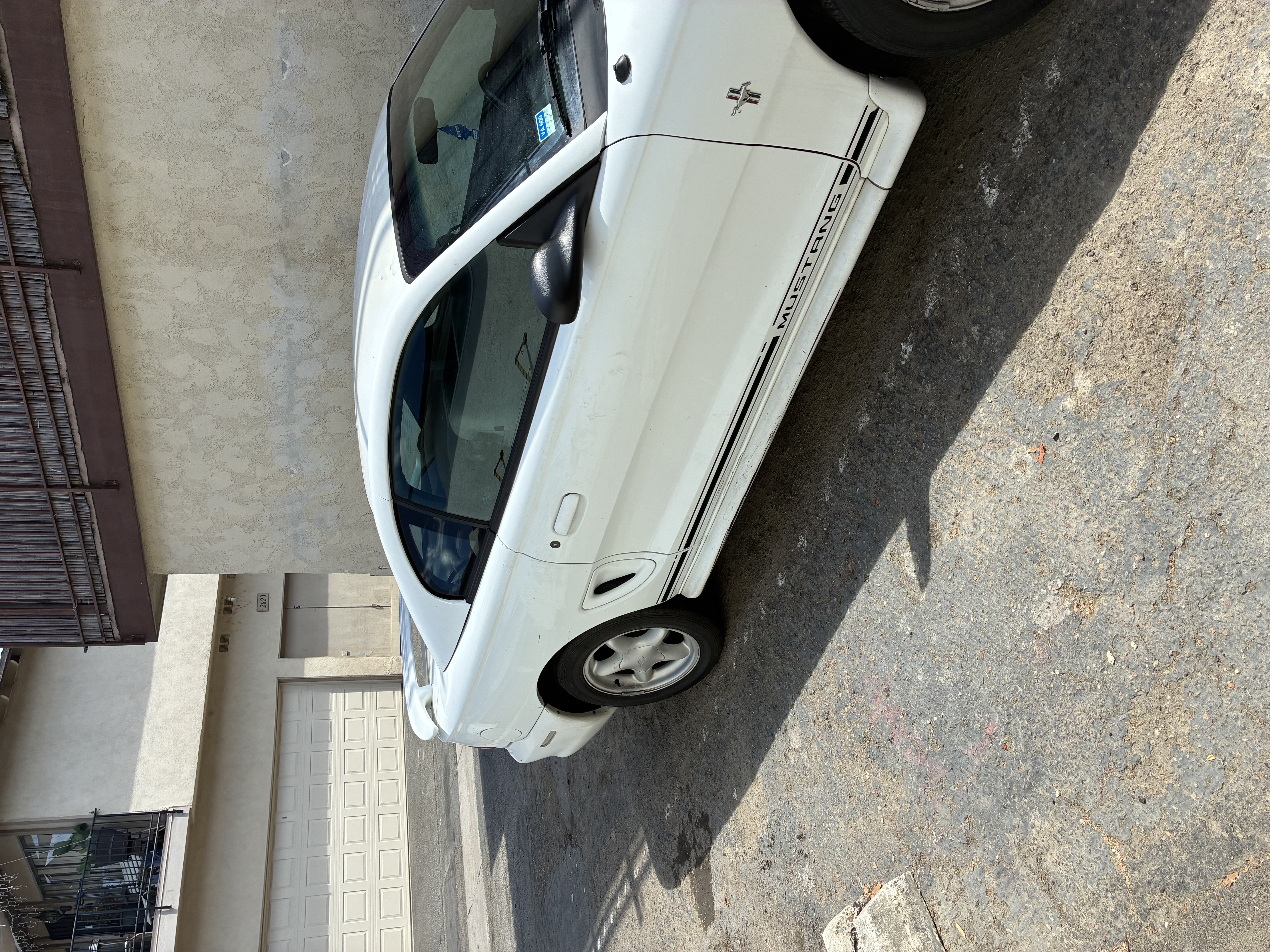 Photo 5