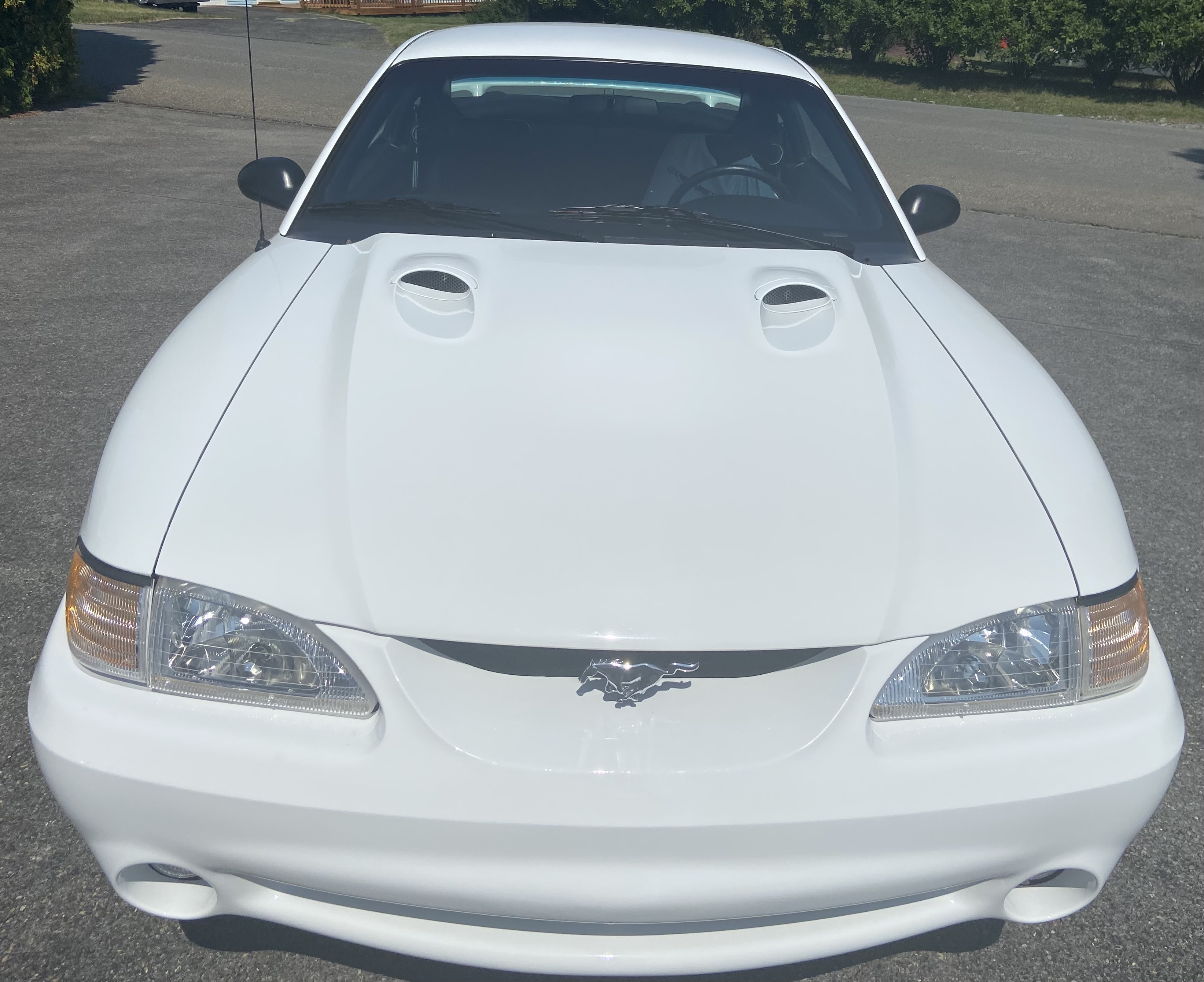 Used 1998 Ford Mustang Cobra