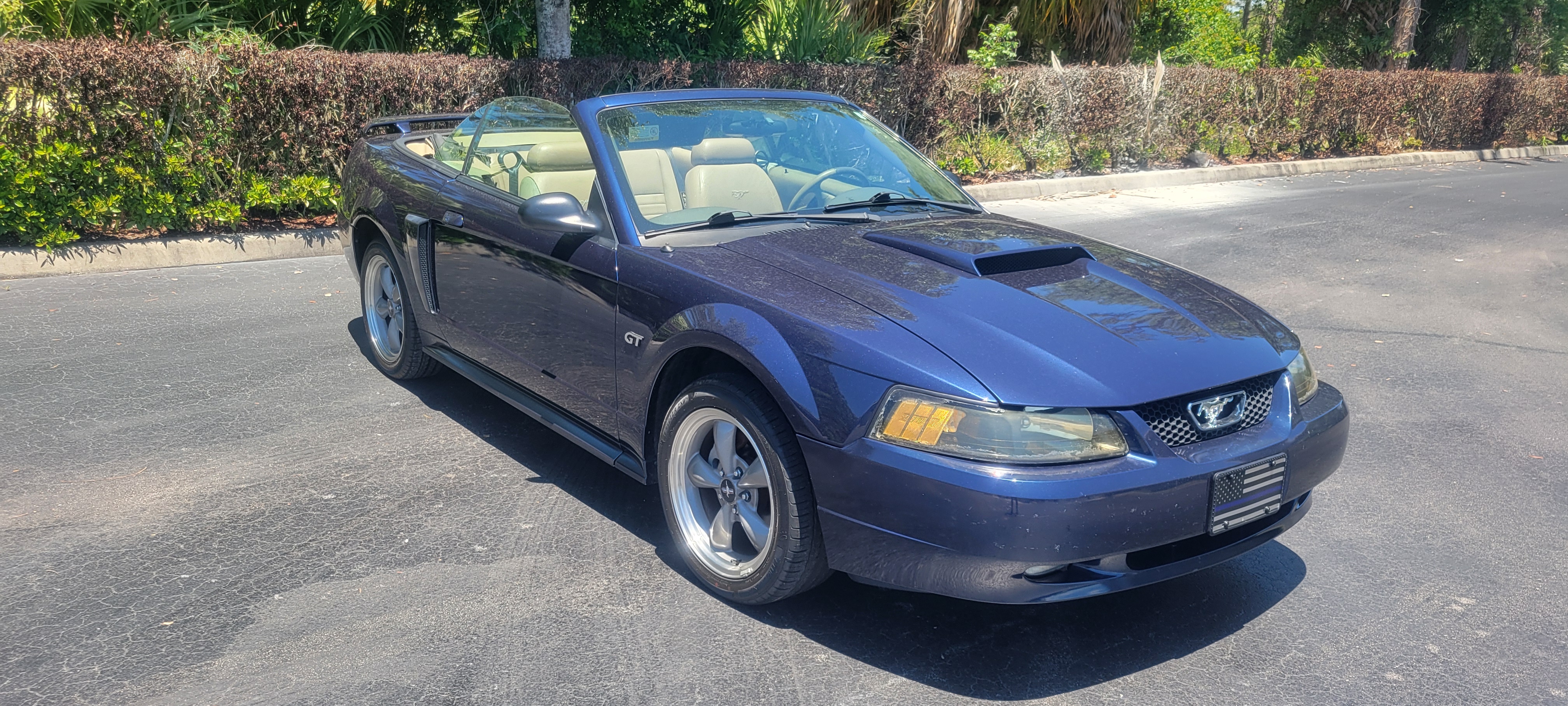 Used 2002 Ford Mustang GT