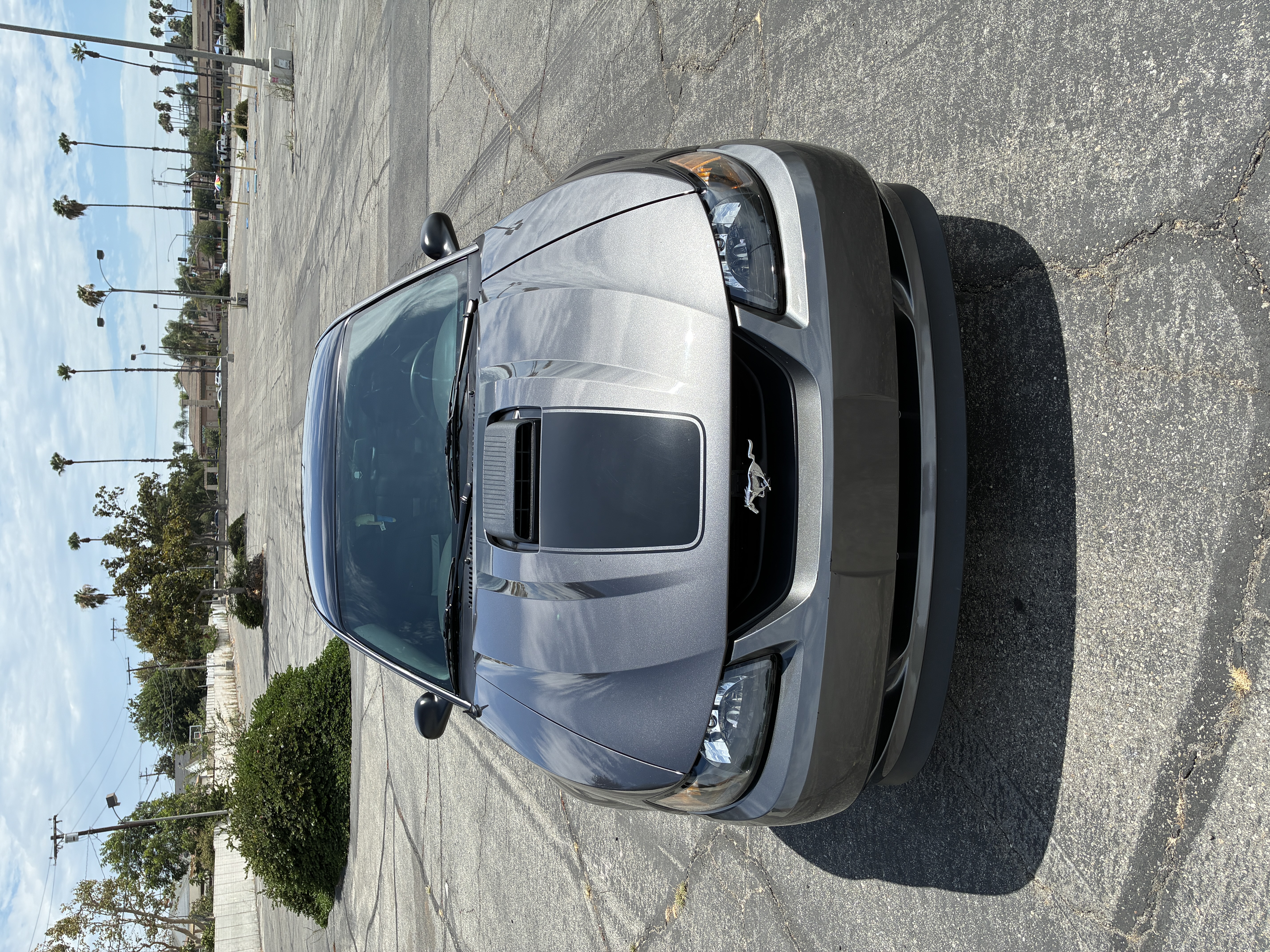Used 2004 Ford Mustang Mach 1