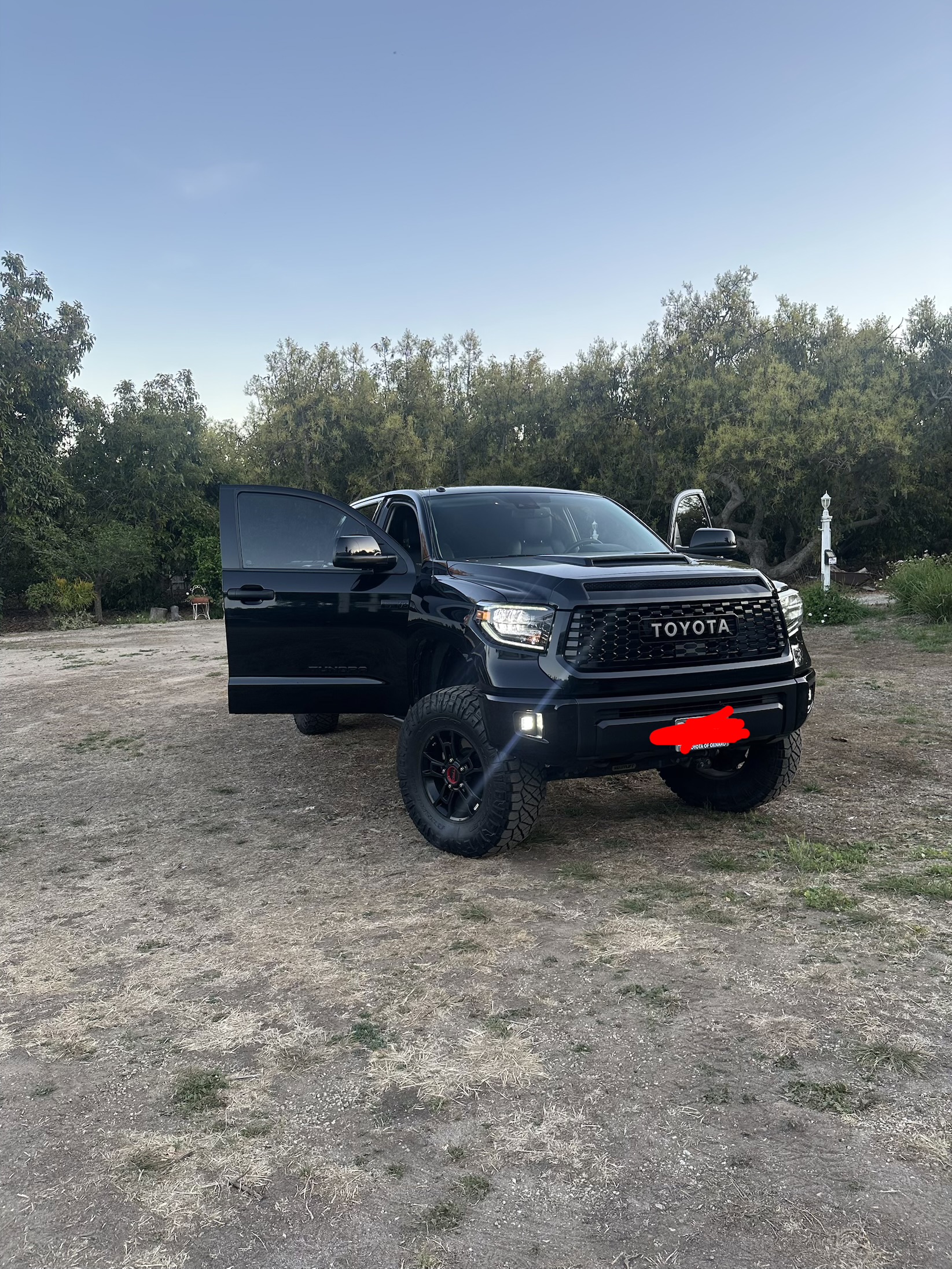Used 2019 Toyota Tundra TRD Pro
