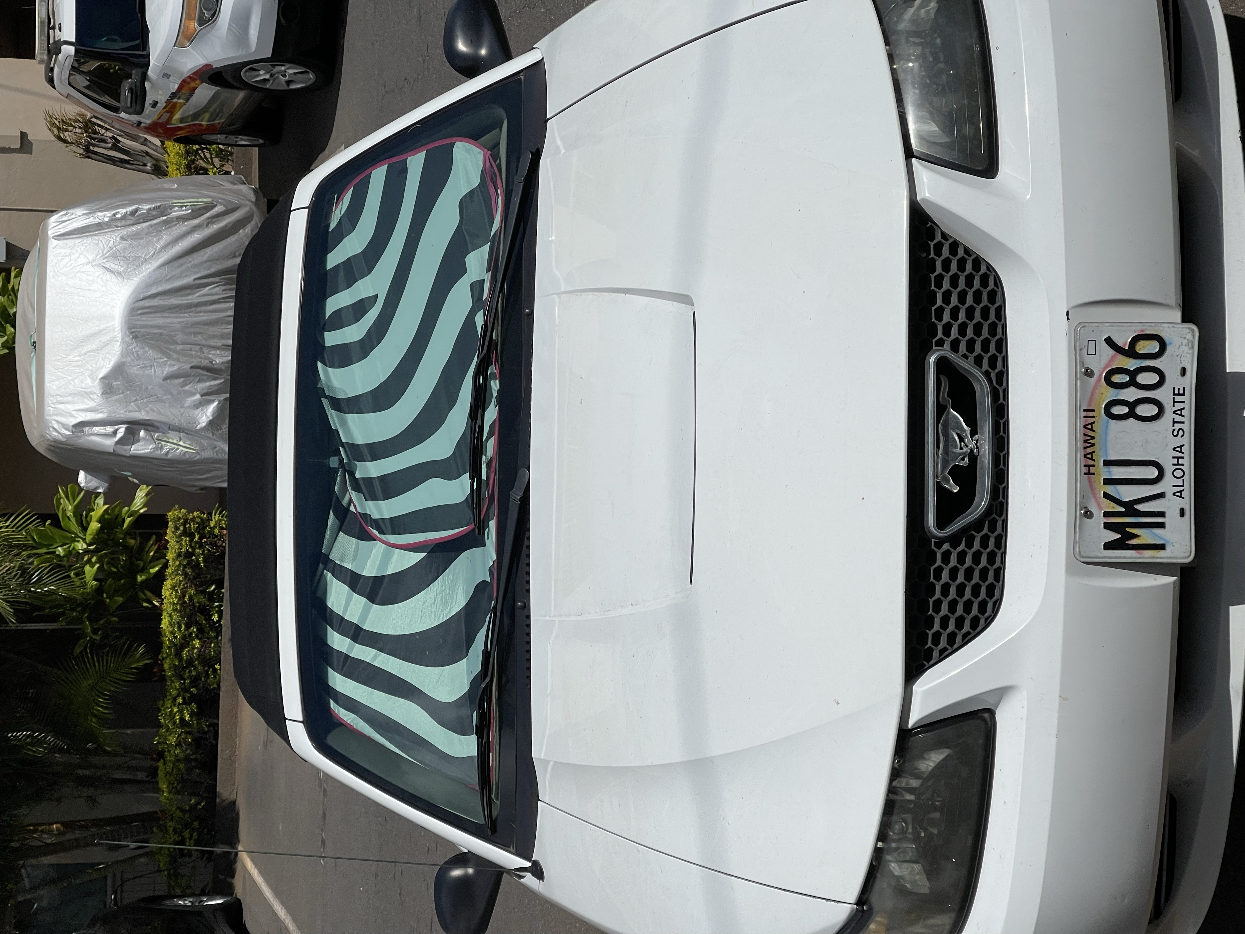 Used 2003 Ford Mustang Premium