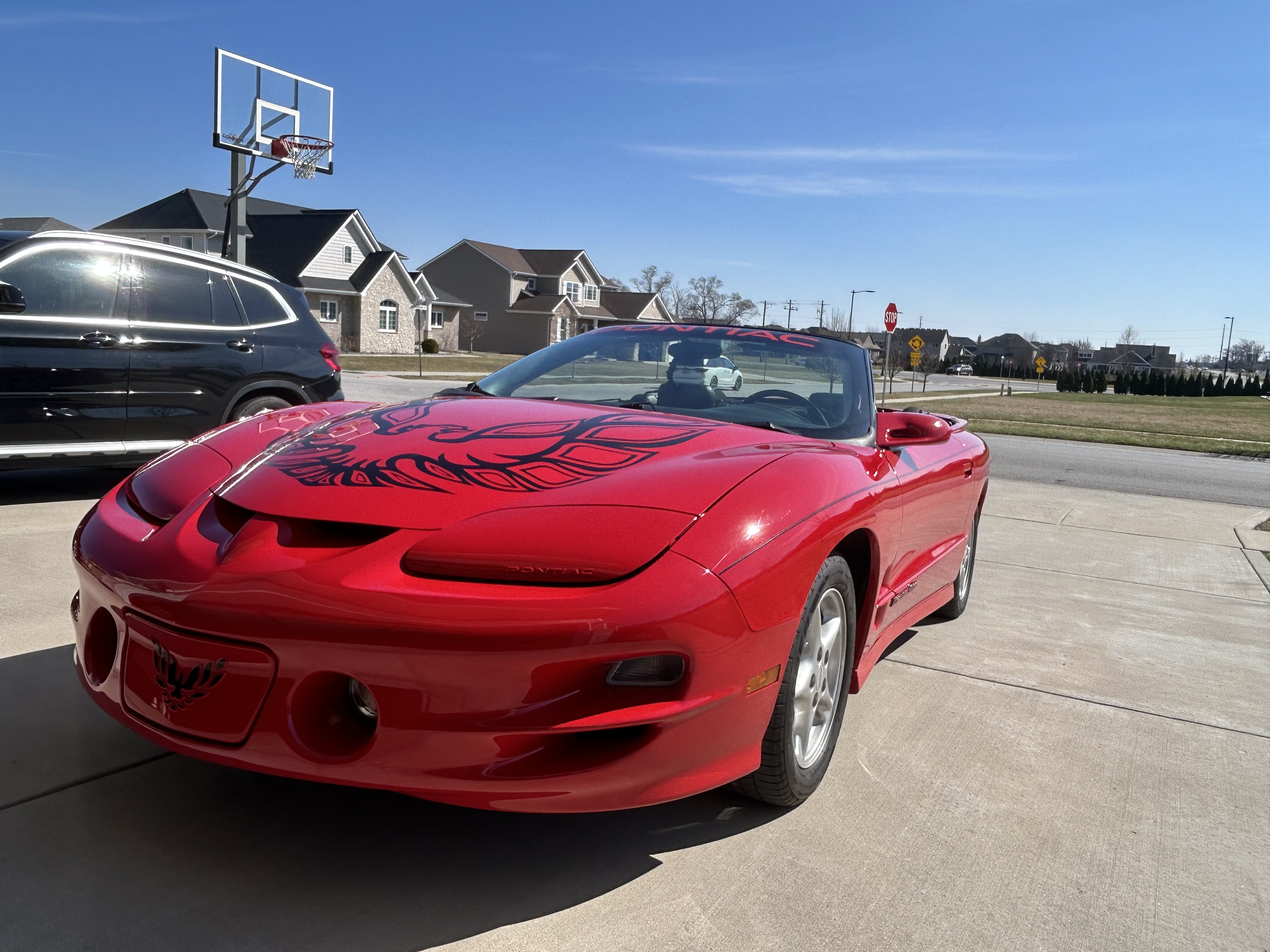 Used 2002 Pontiac Firebird Trans Am