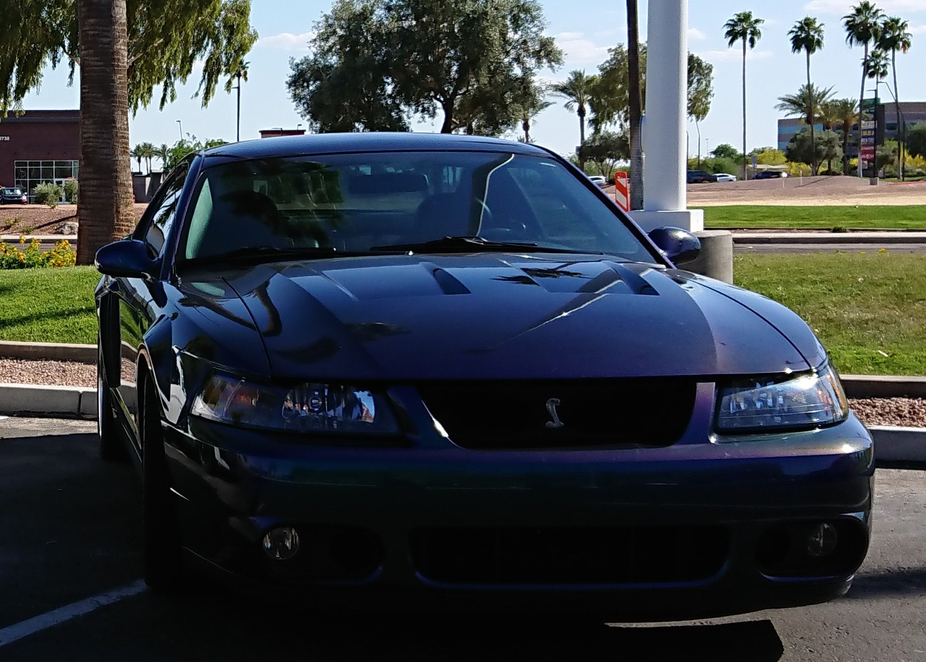 2004 Ford Mustang Cobra
