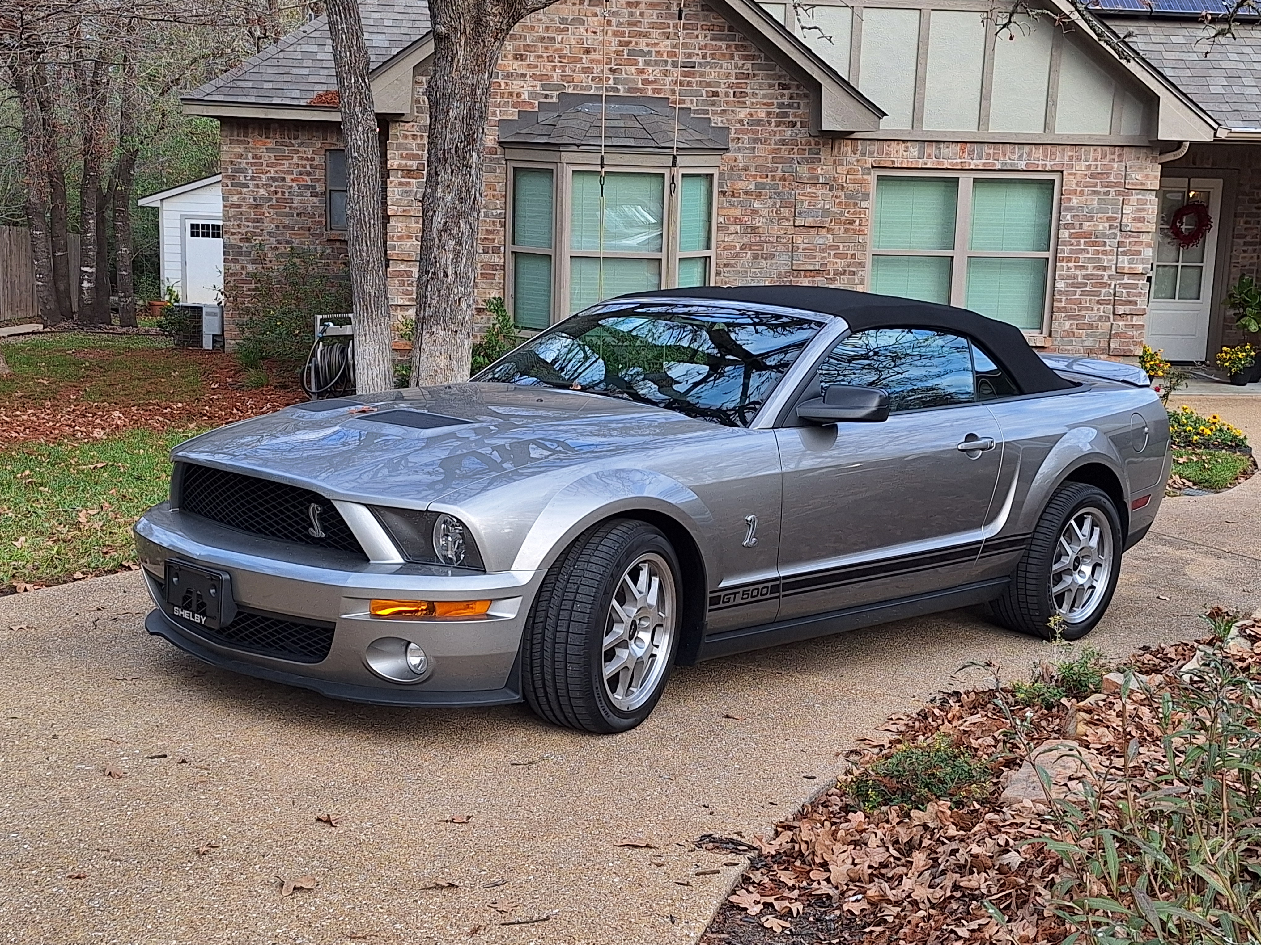 Used 2008 Ford Mustang Shelby GT500