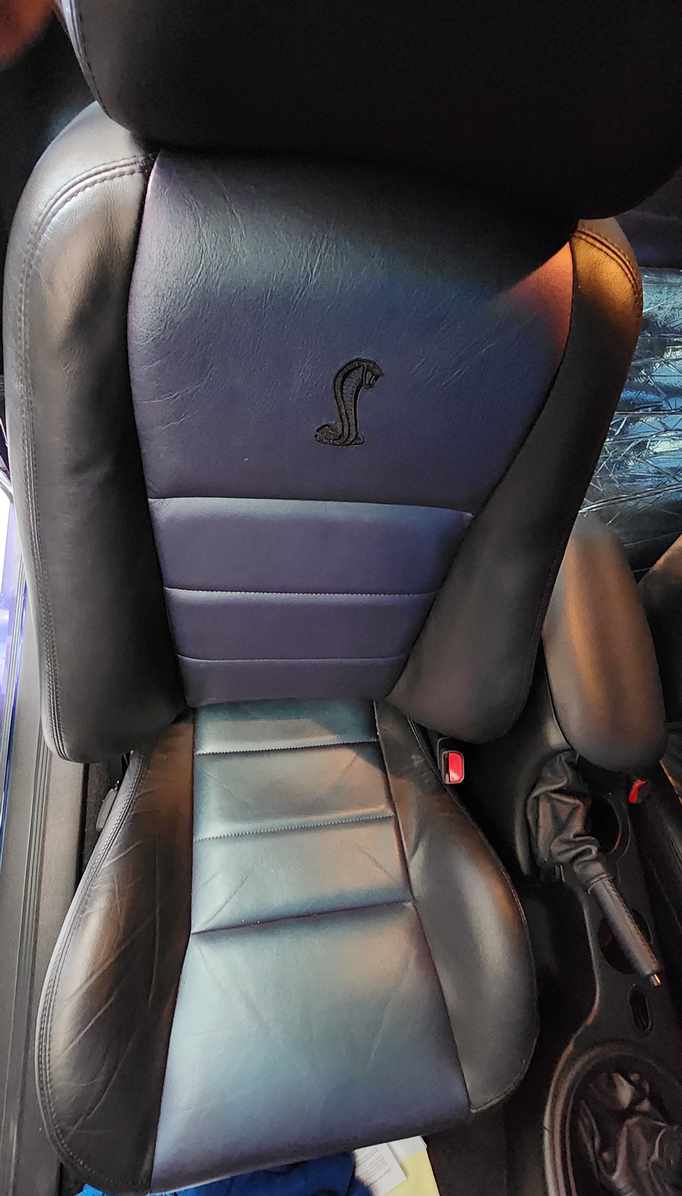 2004 Ford Mustang Cobra