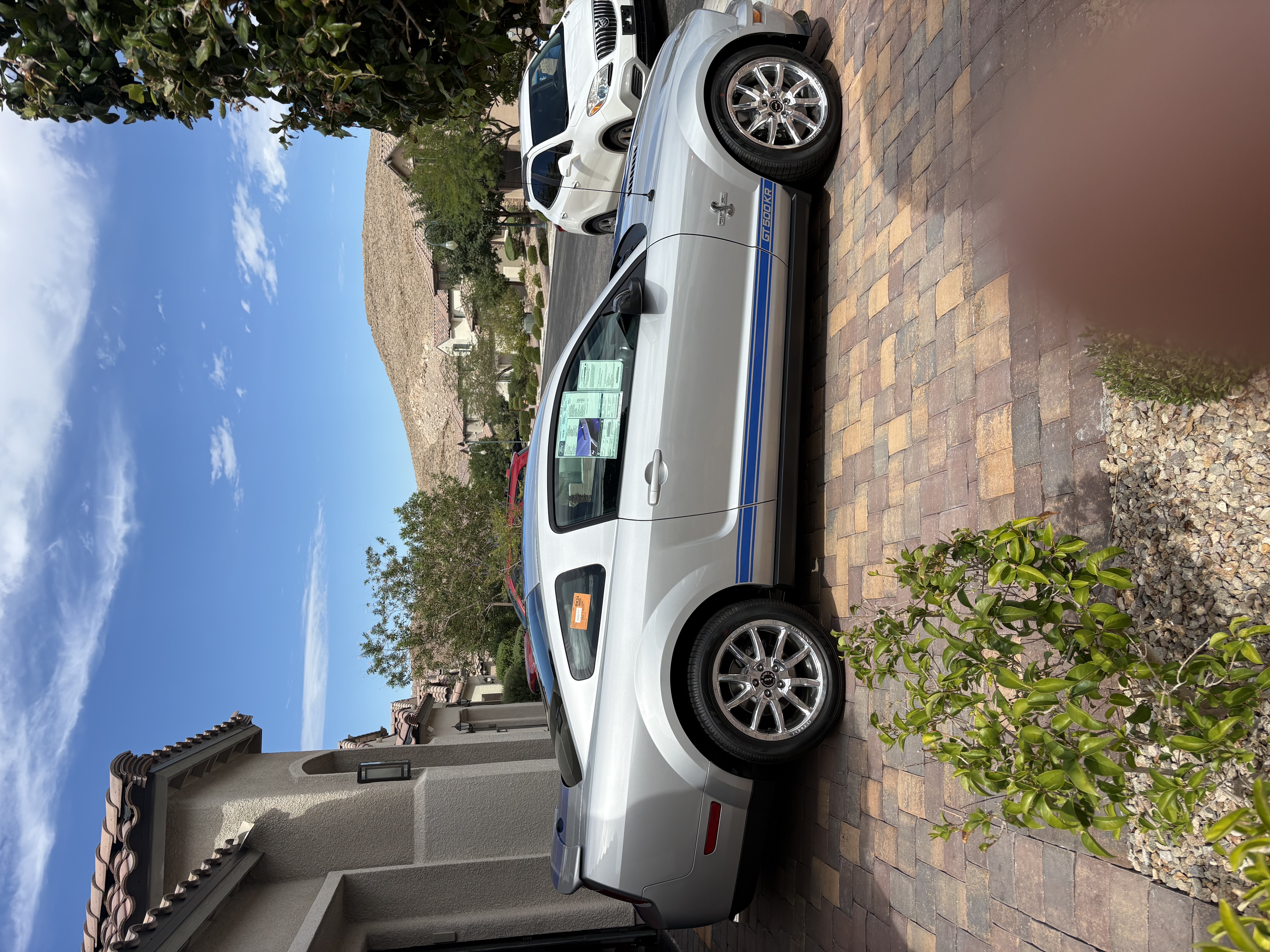 Used 2008 Ford Mustang Shelby GT500