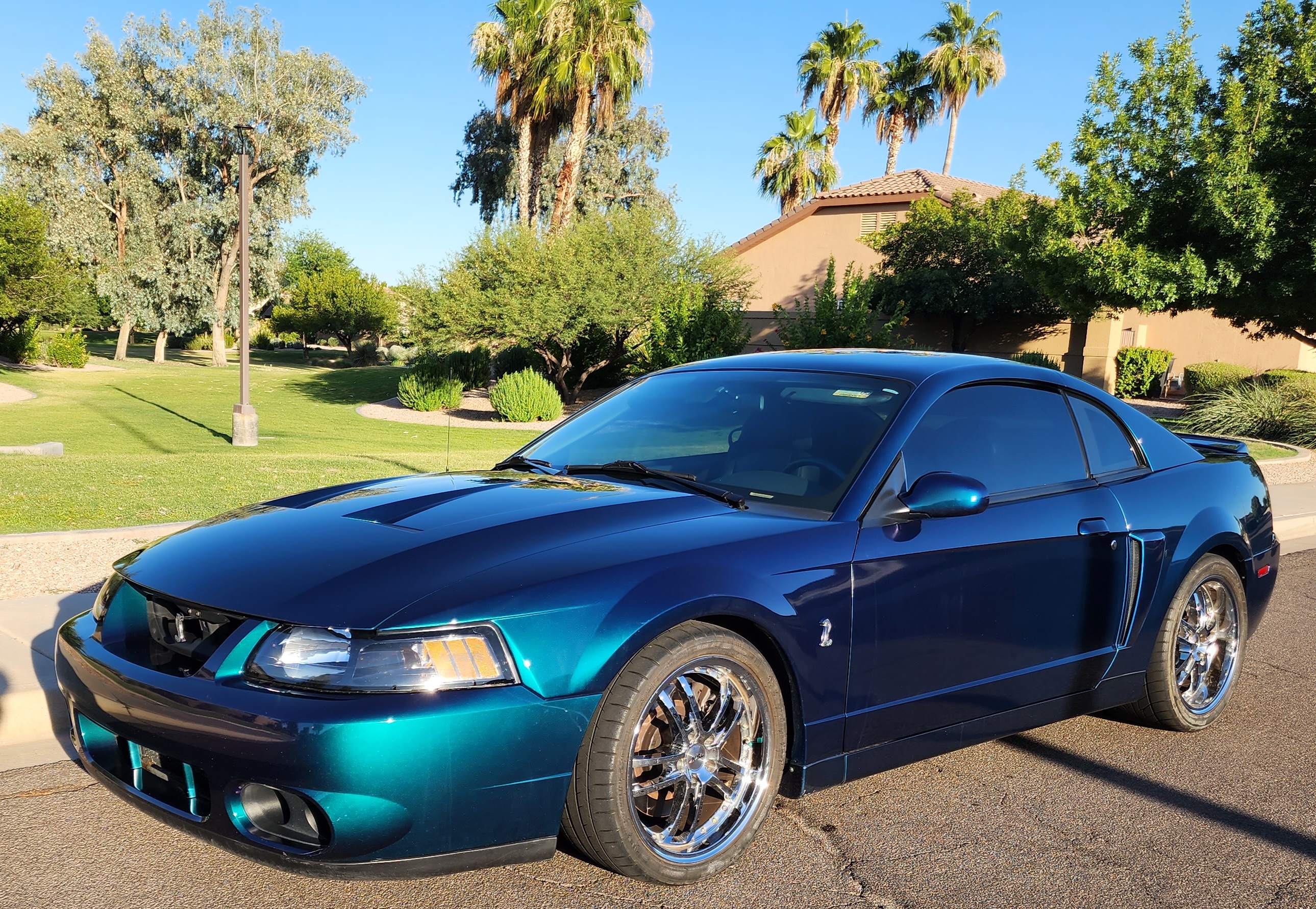 2004 Ford Mustang Cobra