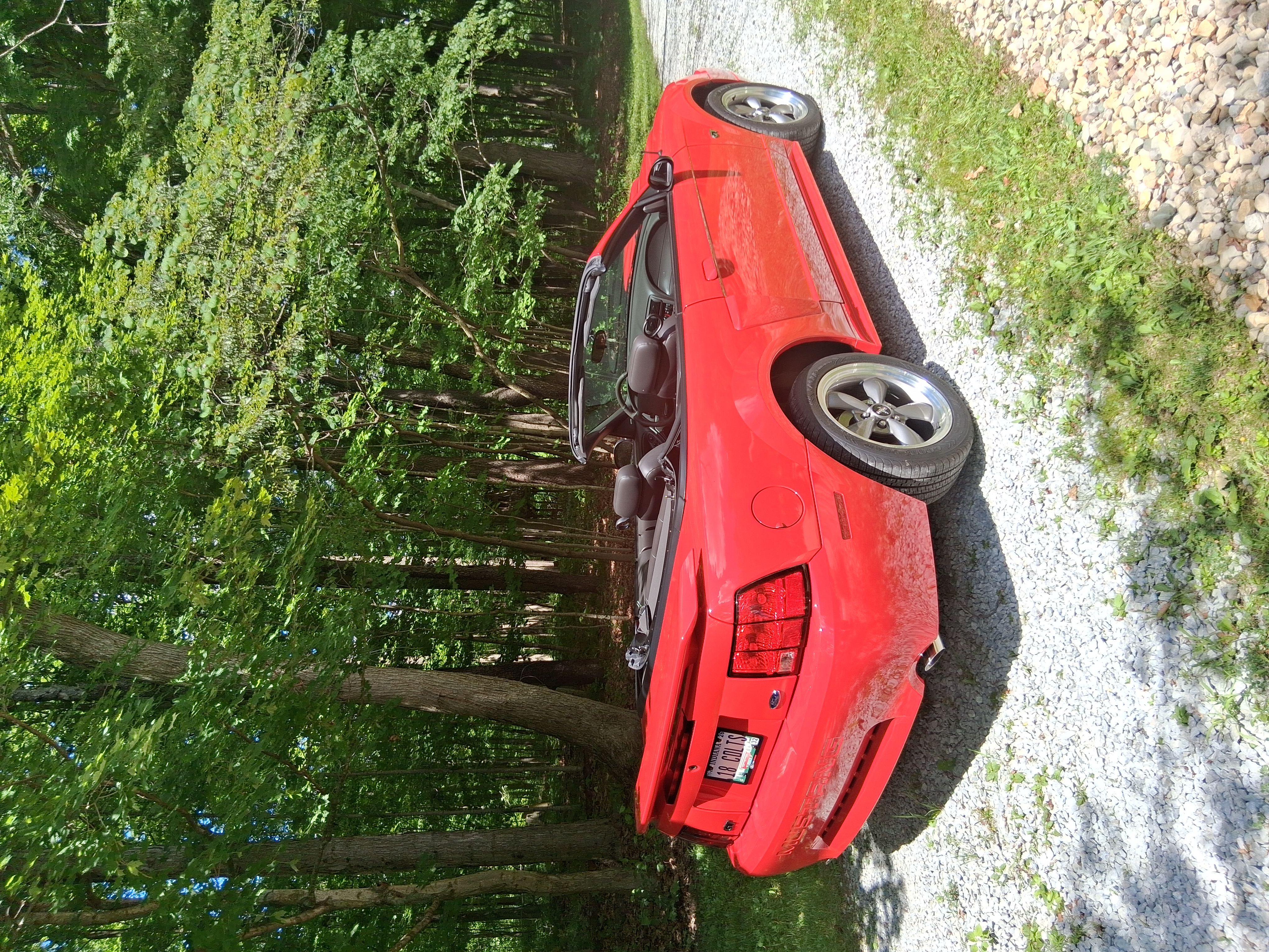 Photo 5