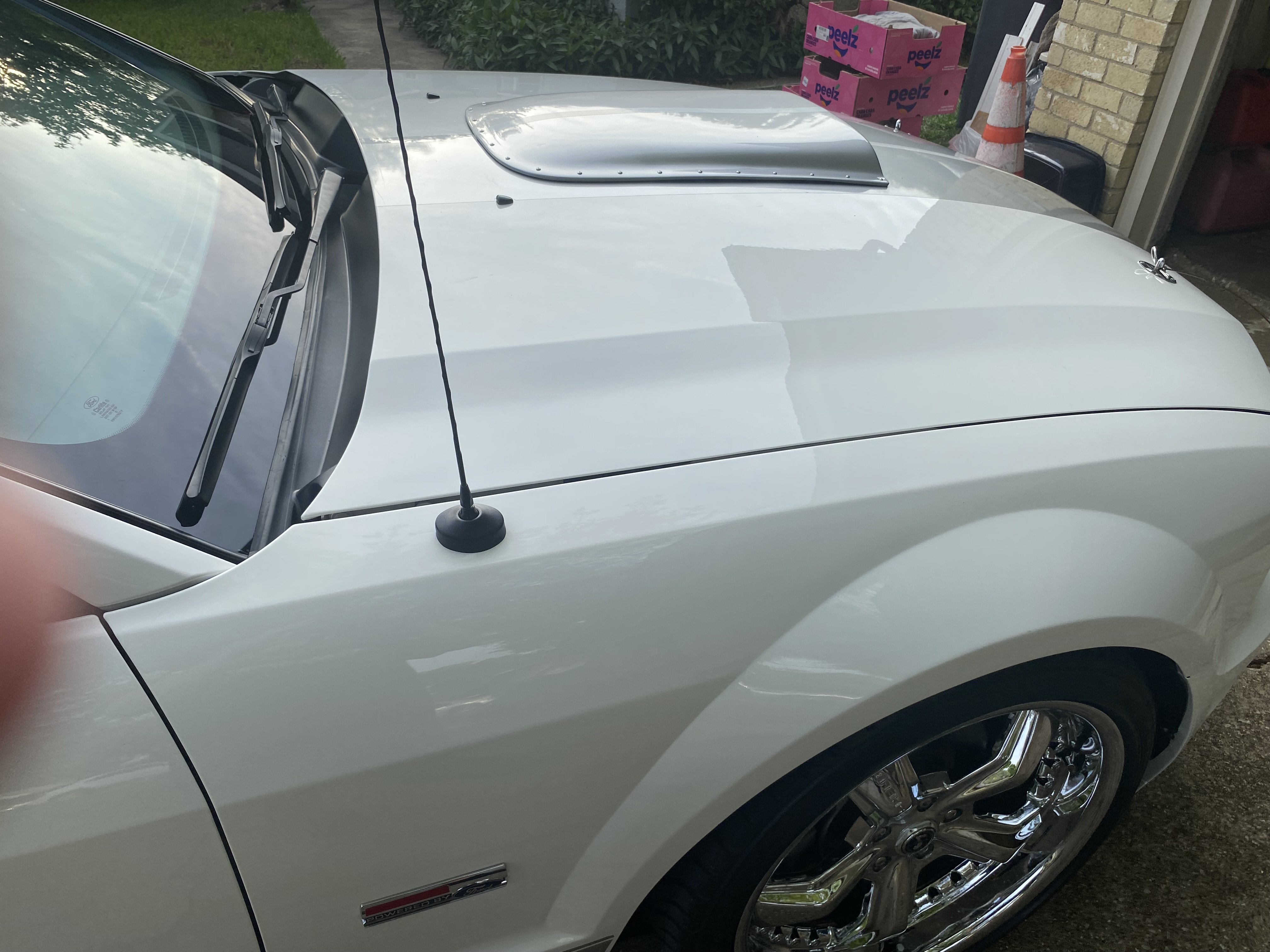 2007 Ford Mustang GT