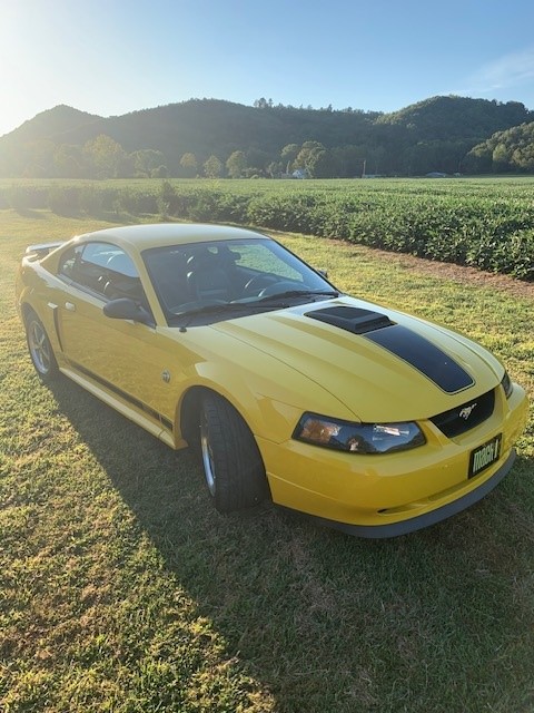 Used 2004 Ford Mustang Mach 1