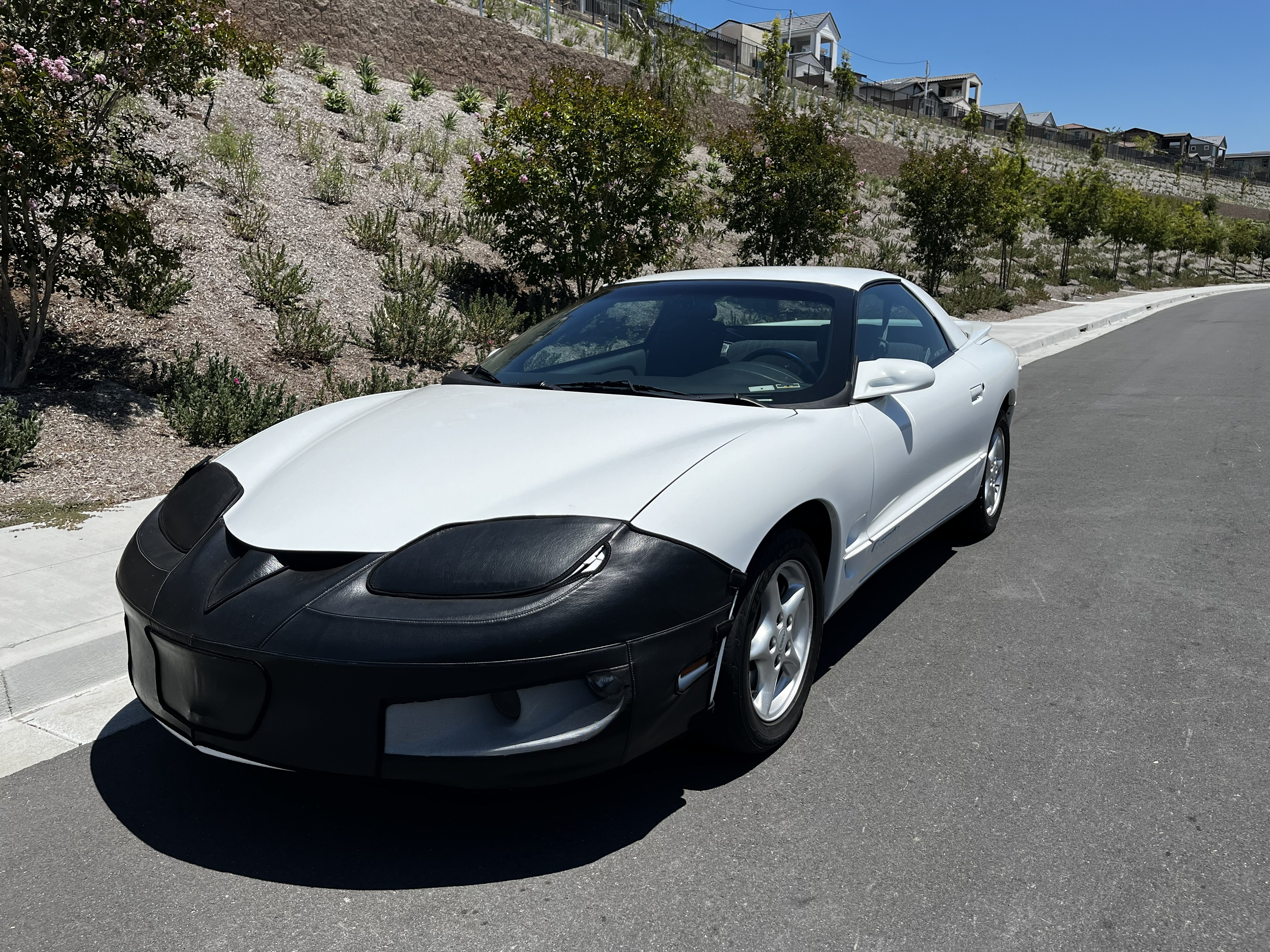 Used 1999 Pontiac Firebird Formula