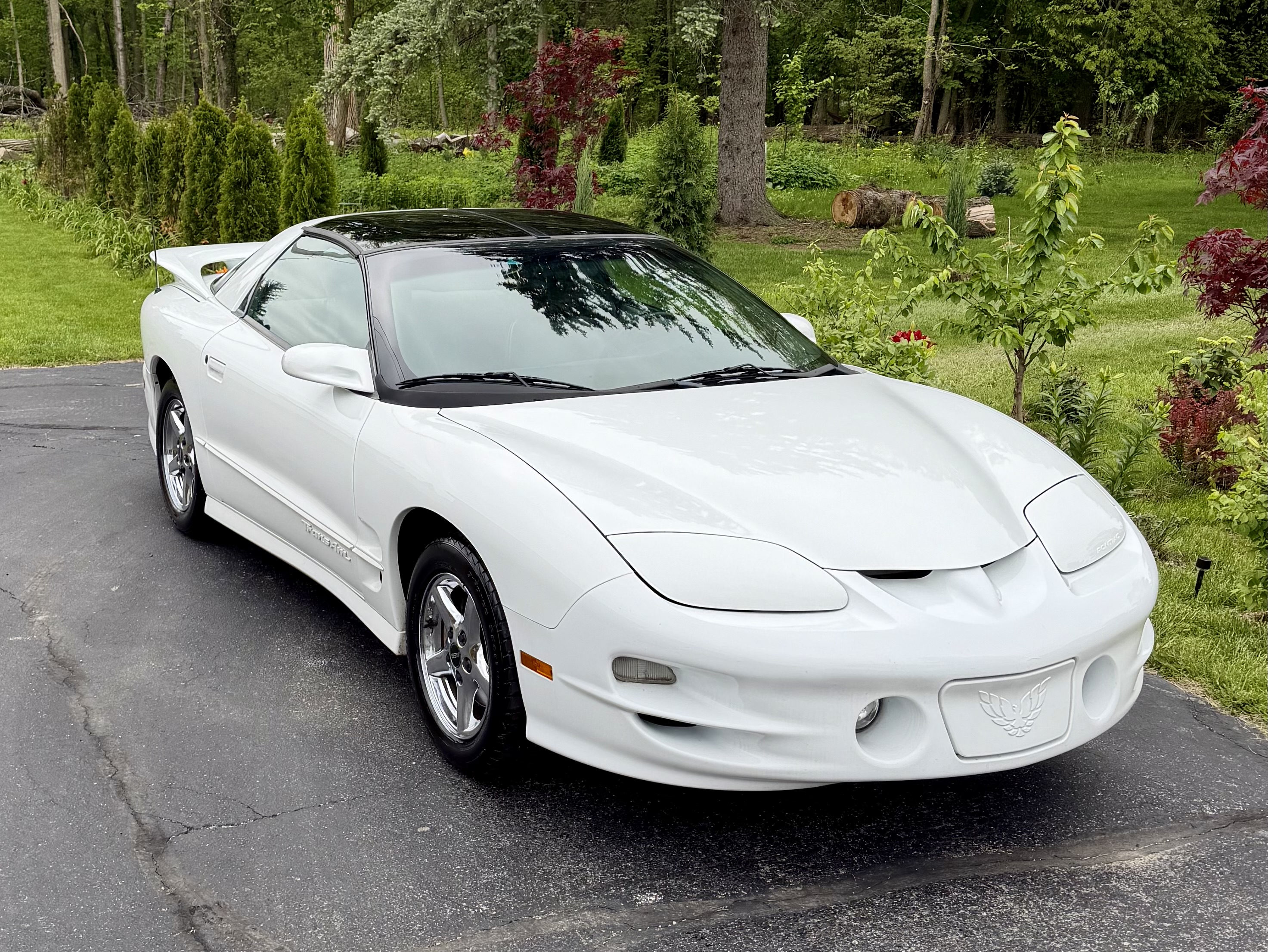 Used 2000 Pontiac Firebird Formula w/ Security Pkg