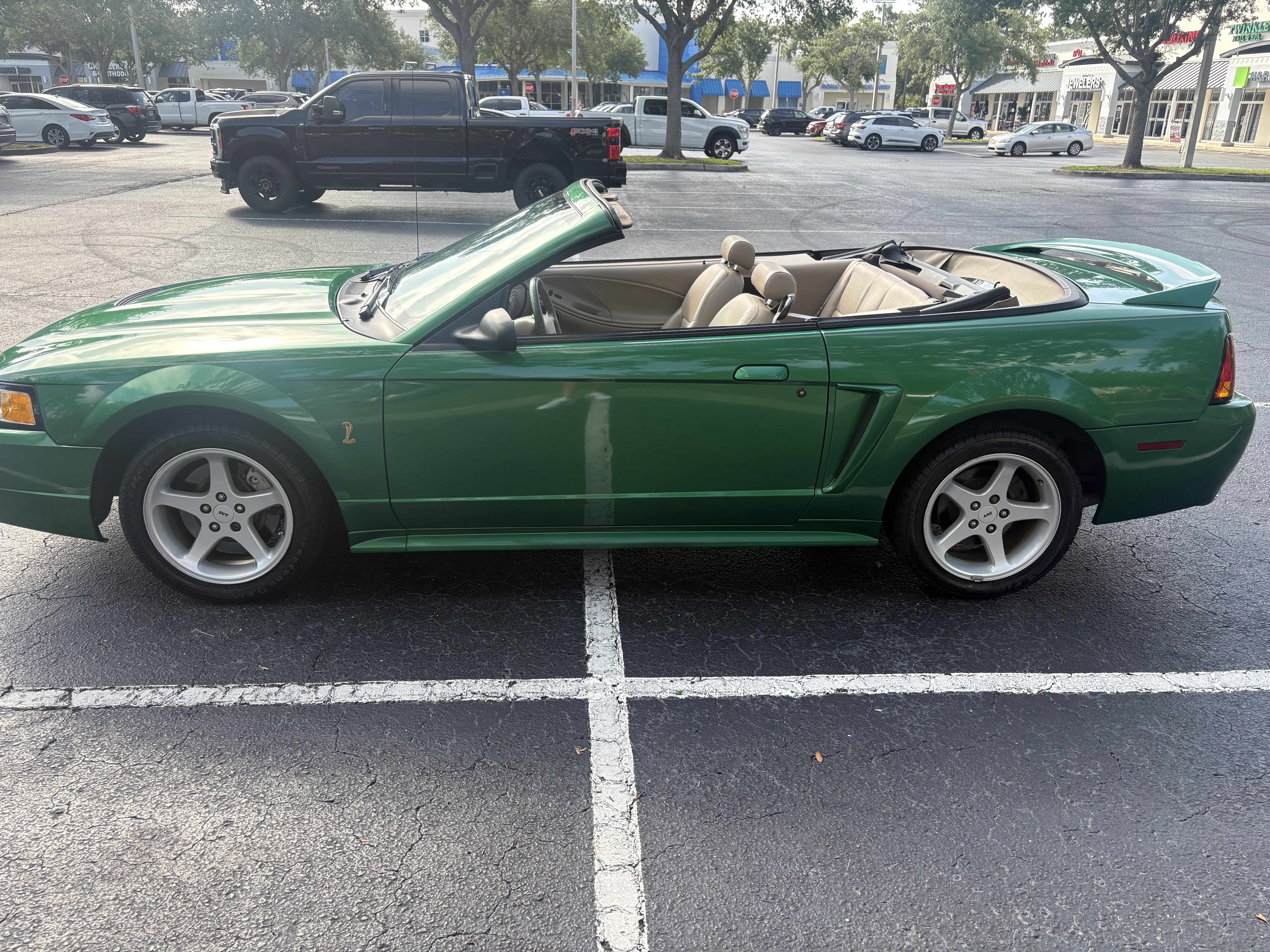 Used 1999 Ford Mustang Cobra