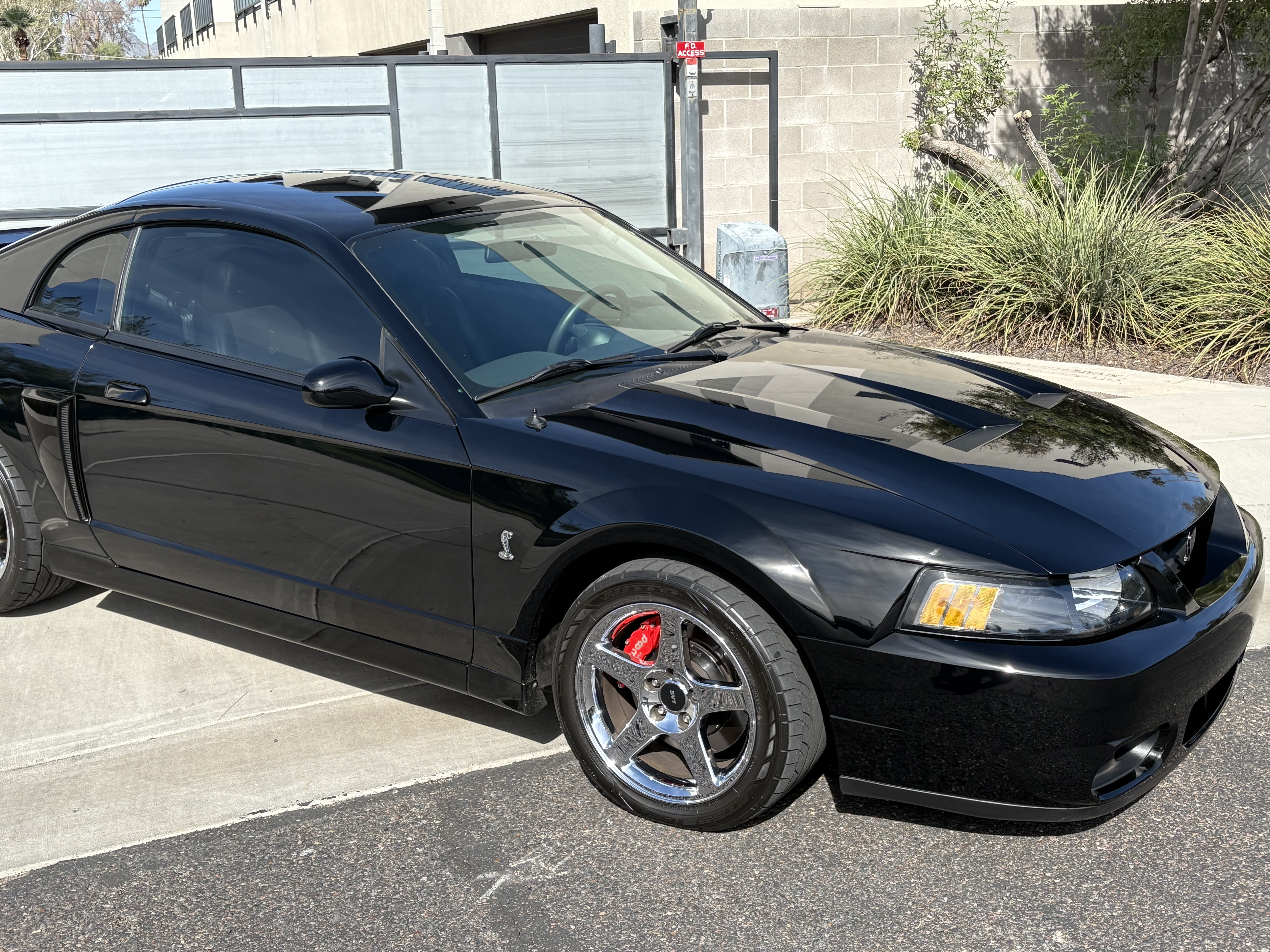 2004 Ford Mustang Cobra