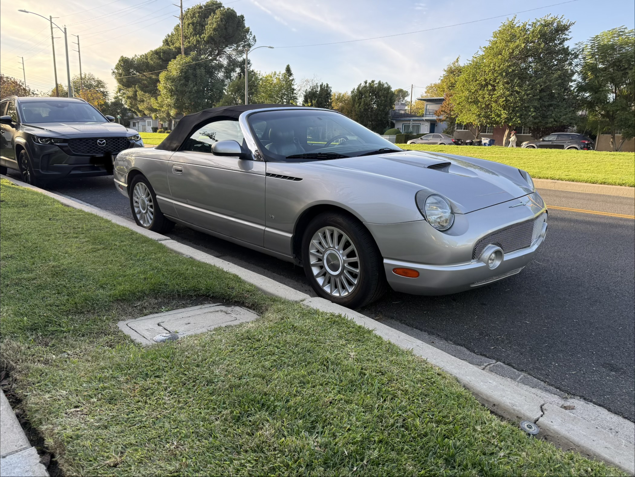 2004 Ford Thunderbird