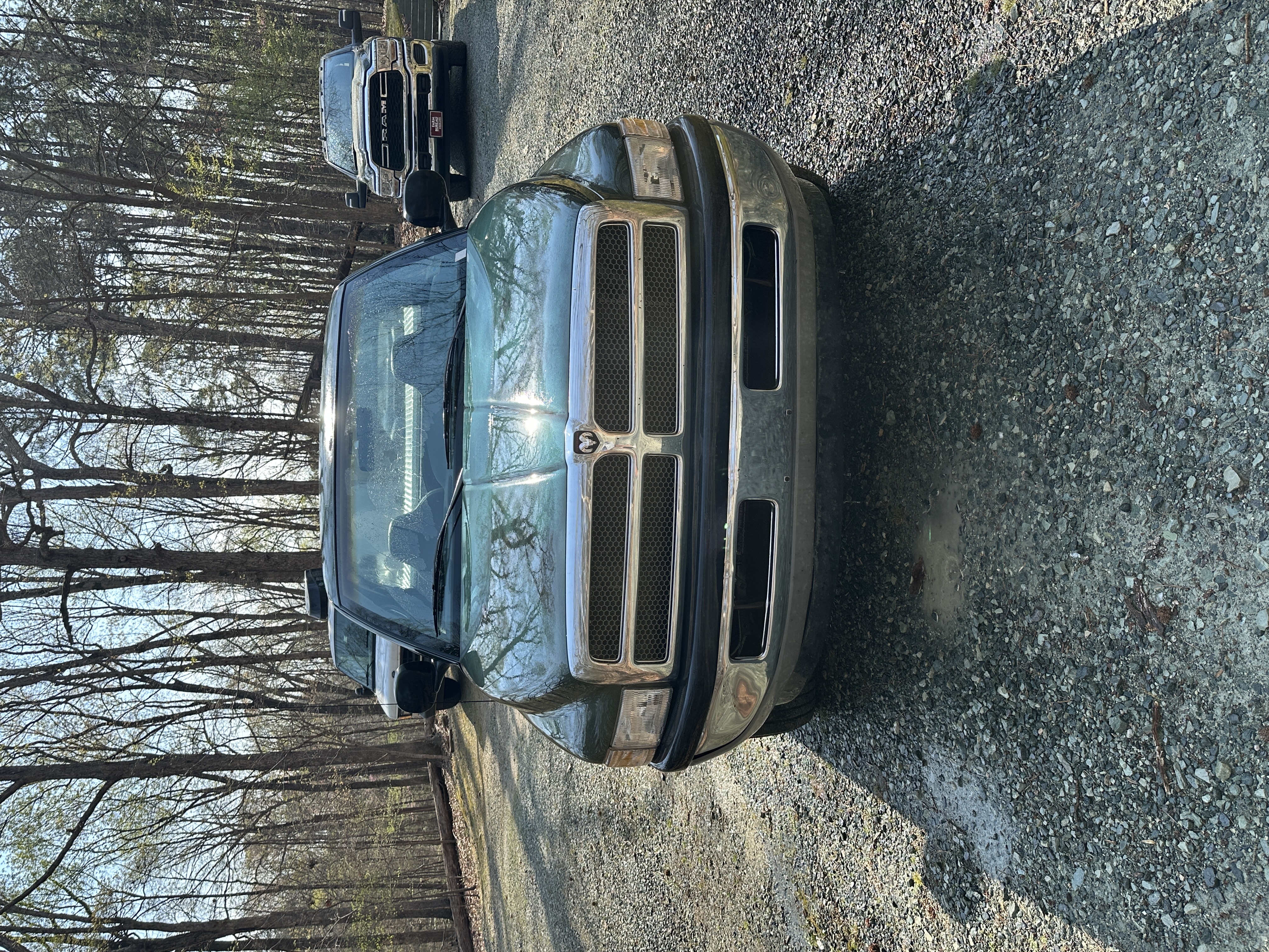 Used 1999 Dodge Ram 1500 Truck 2WD Regular Cab