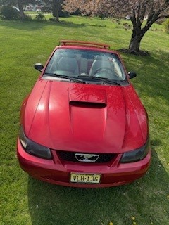 Used 1999 Ford Mustang GT