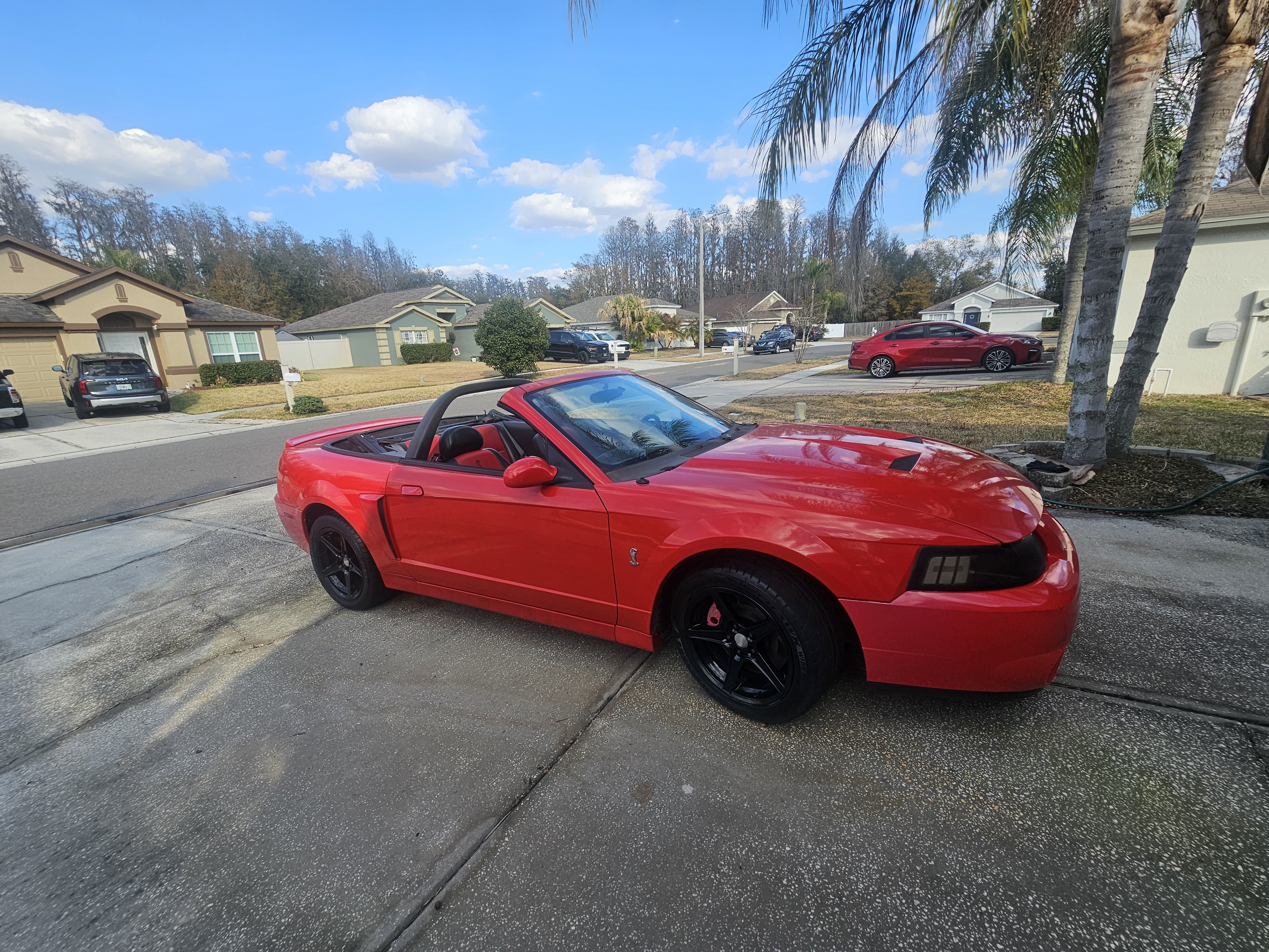 Used 2003 Ford Mustang Cobra