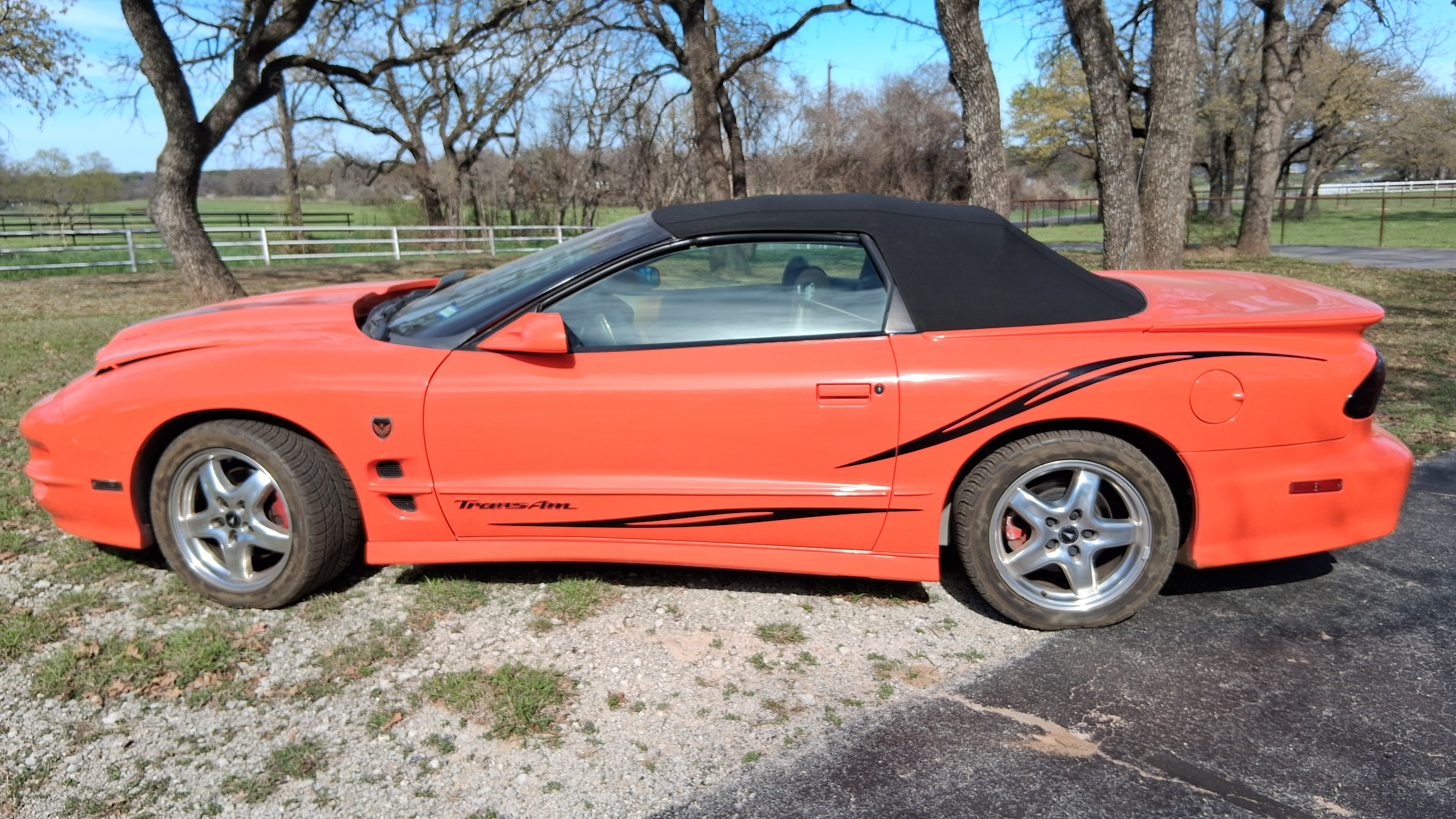 Used 1999 Pontiac Firebird Trans Am